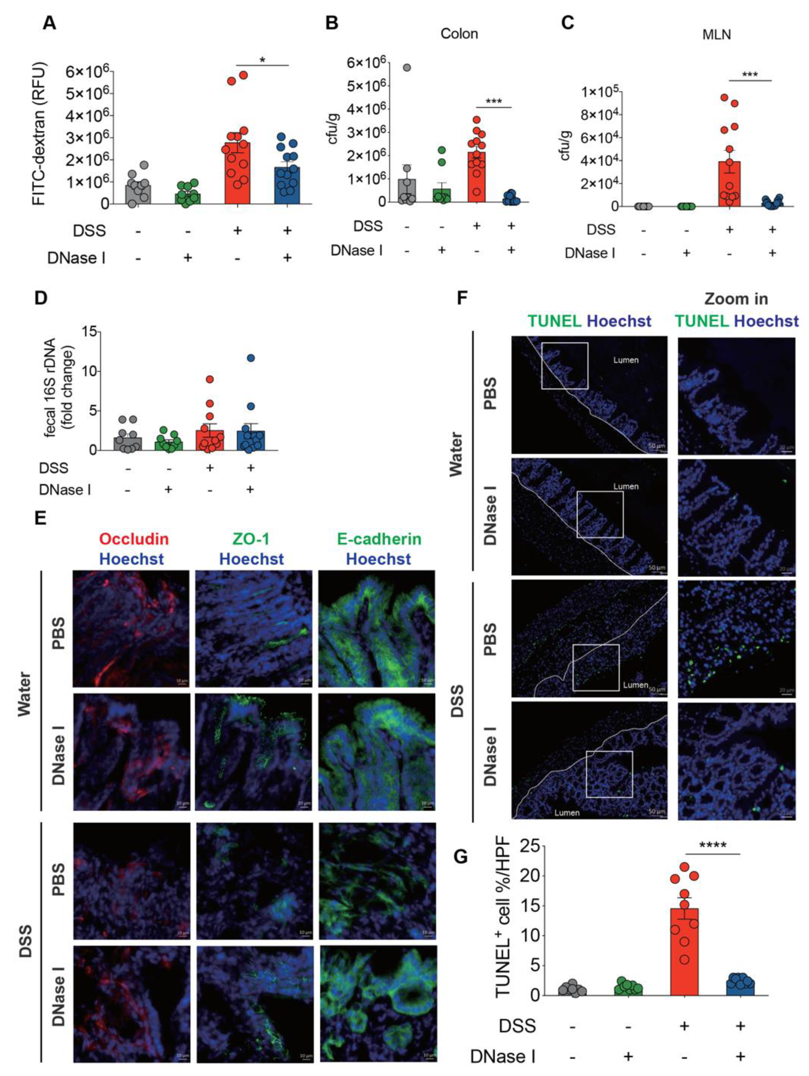 Biomedicines 08 00275 g005