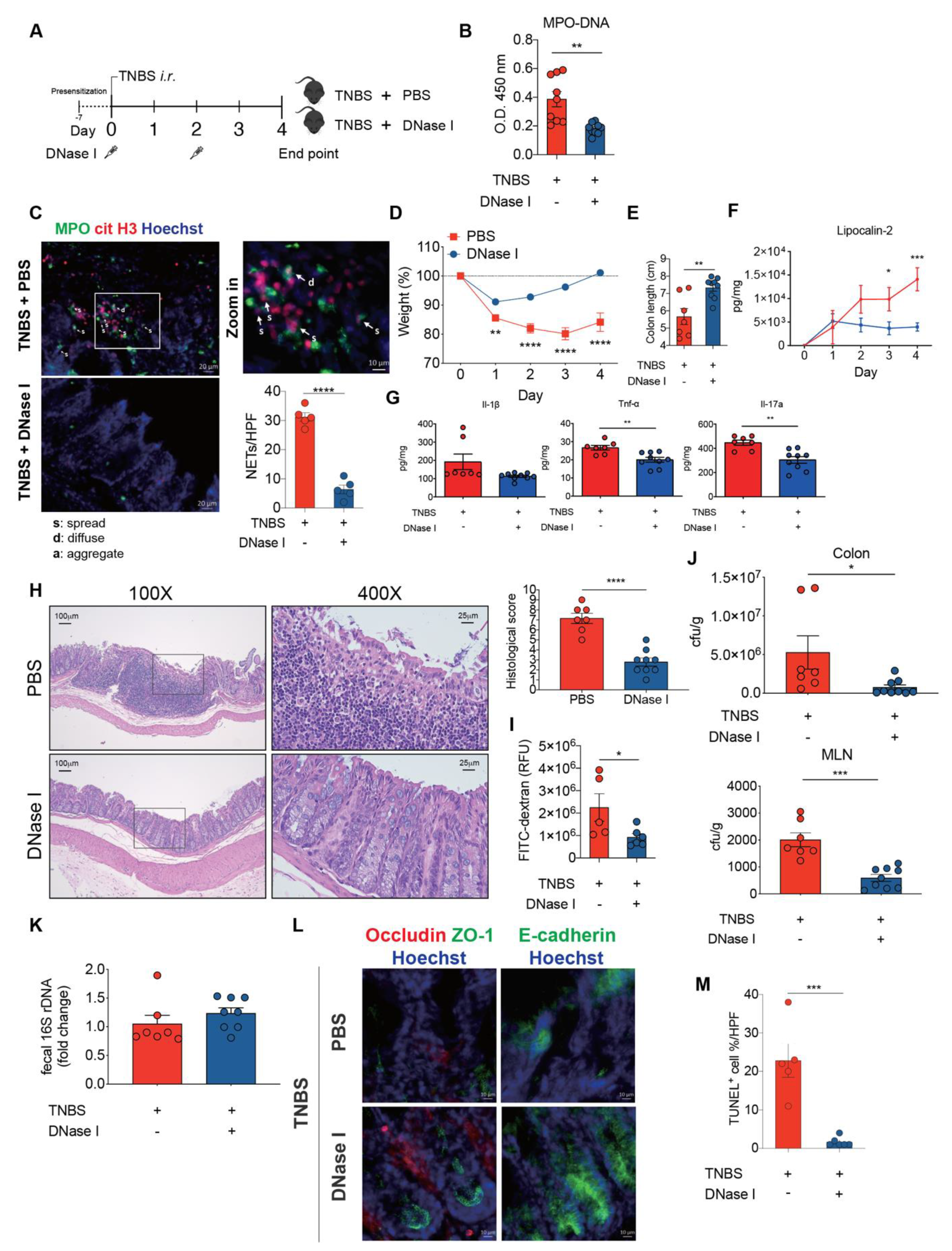 Biomedicines 08 00275 g006