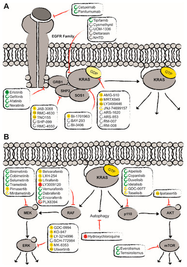 Biomedicines Free Full Text Targeting Mutant Kras In Pancreatic Cancer Futile Or Promising Html Biomedicines Free Full Text Targeting Mutant Kras In Pancreatic Cancer Futile Or Promising Html