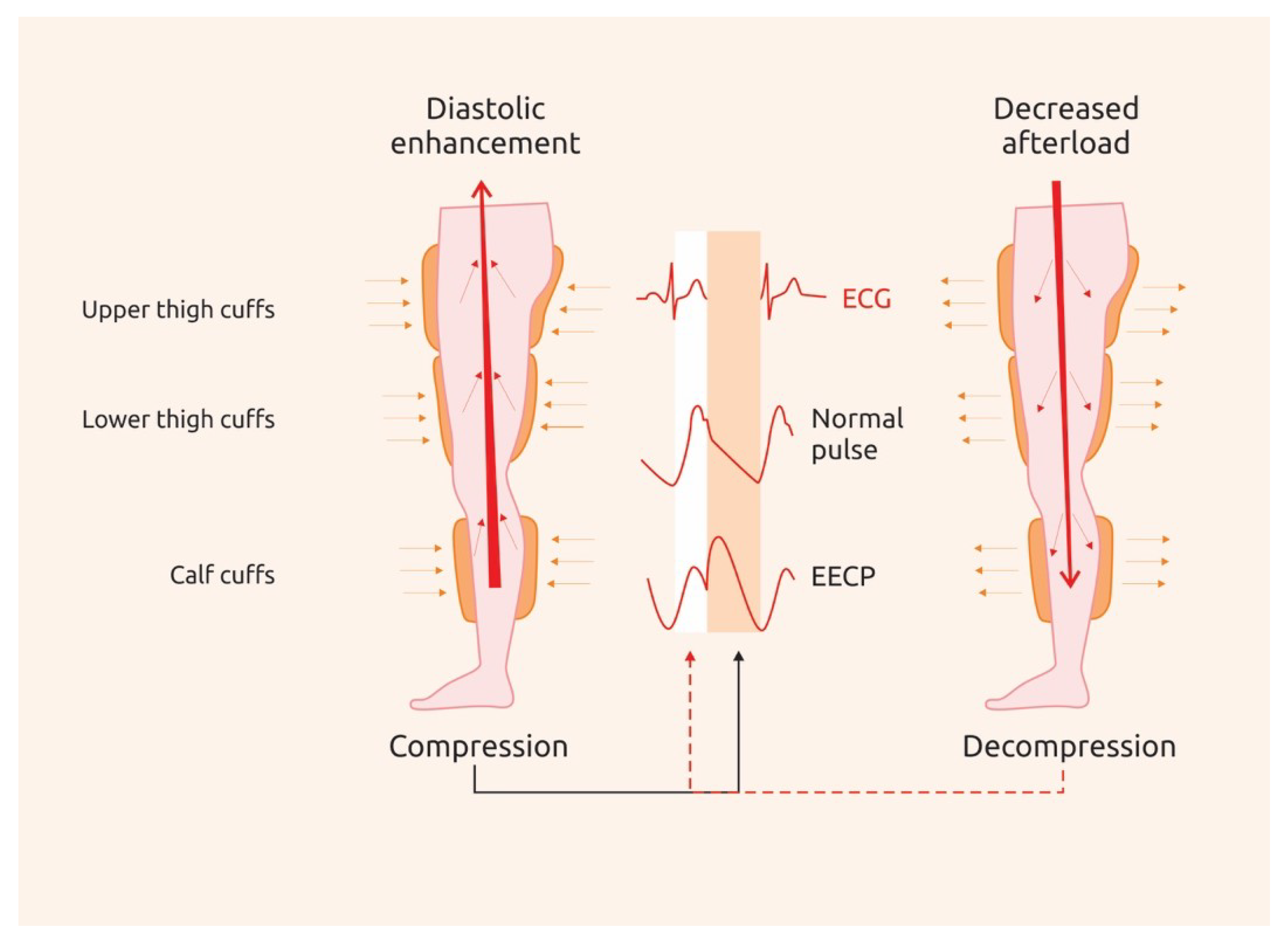 Biomedicines 08 00285 g002