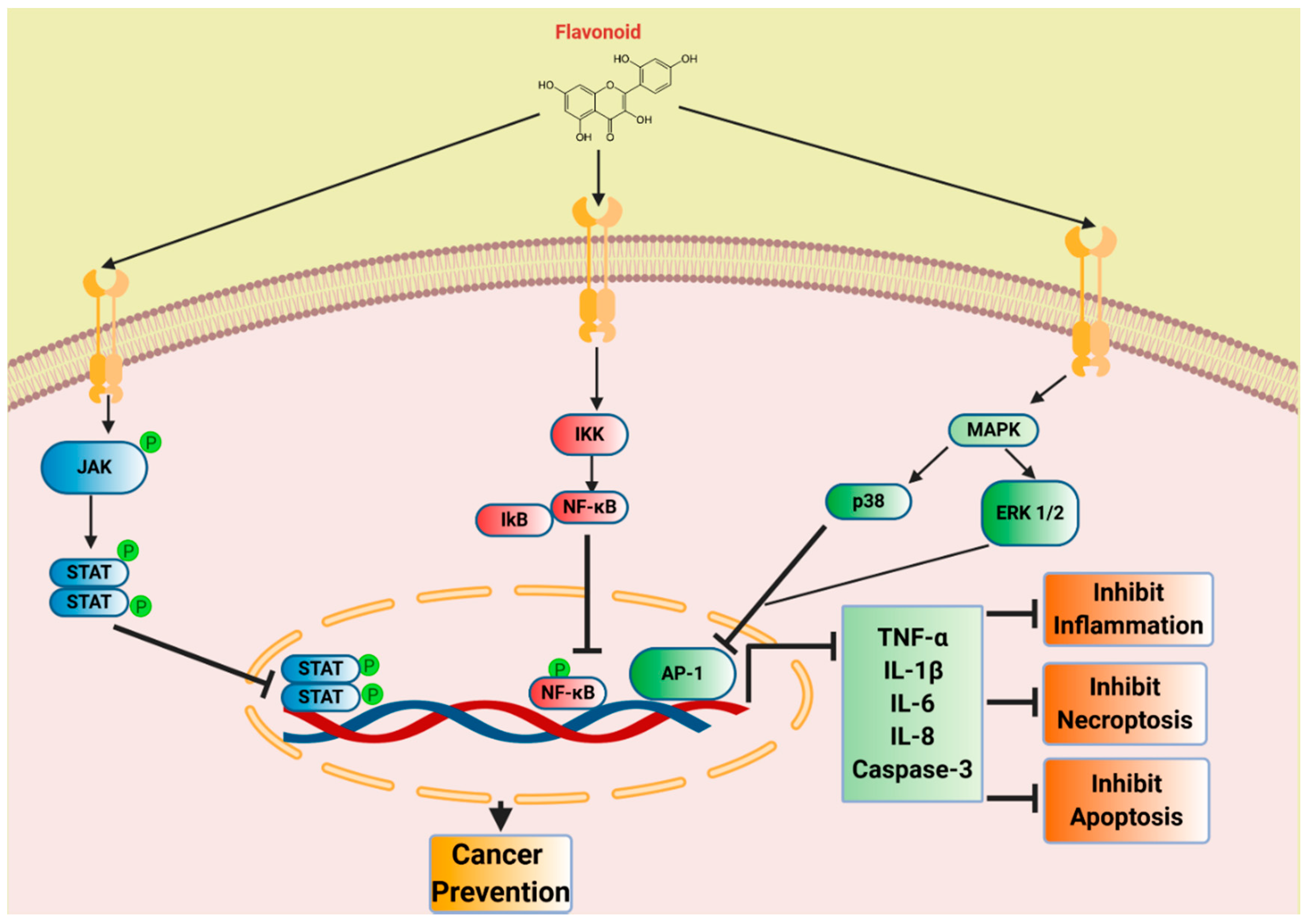 Biomedicines 08 00286 g004