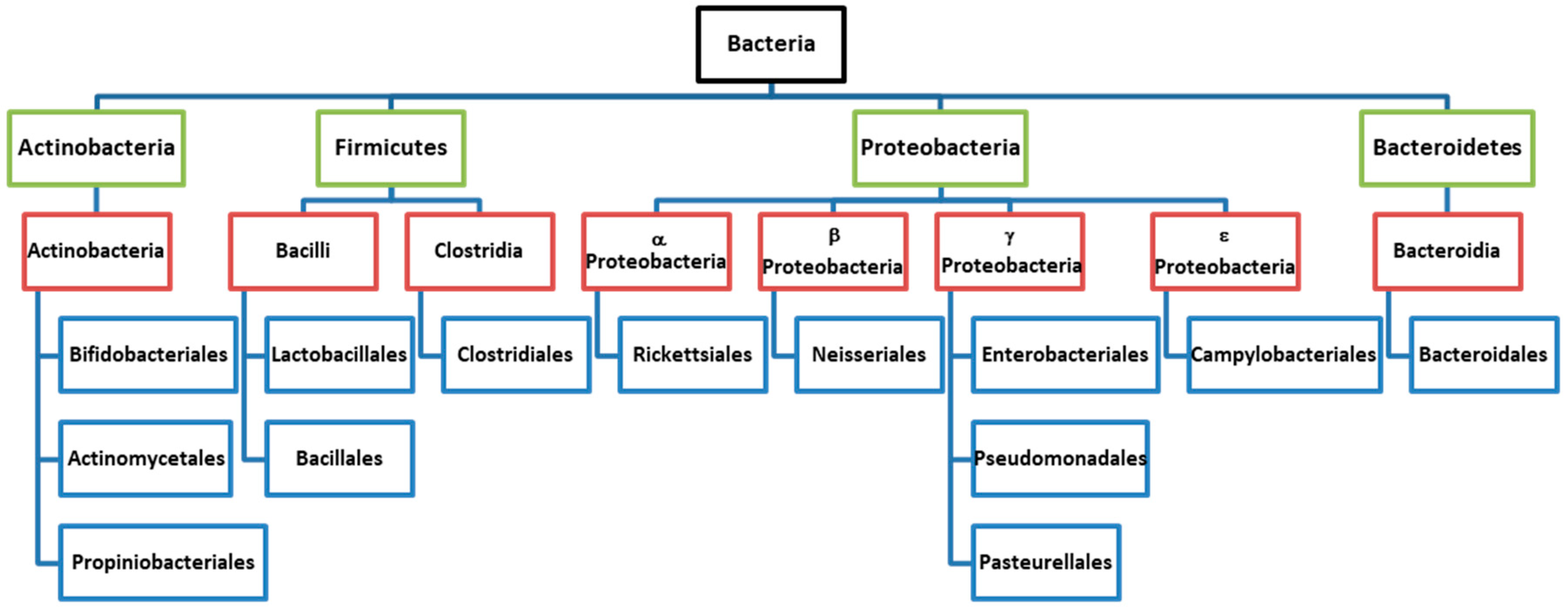 Biomedicines 08 00287 g001