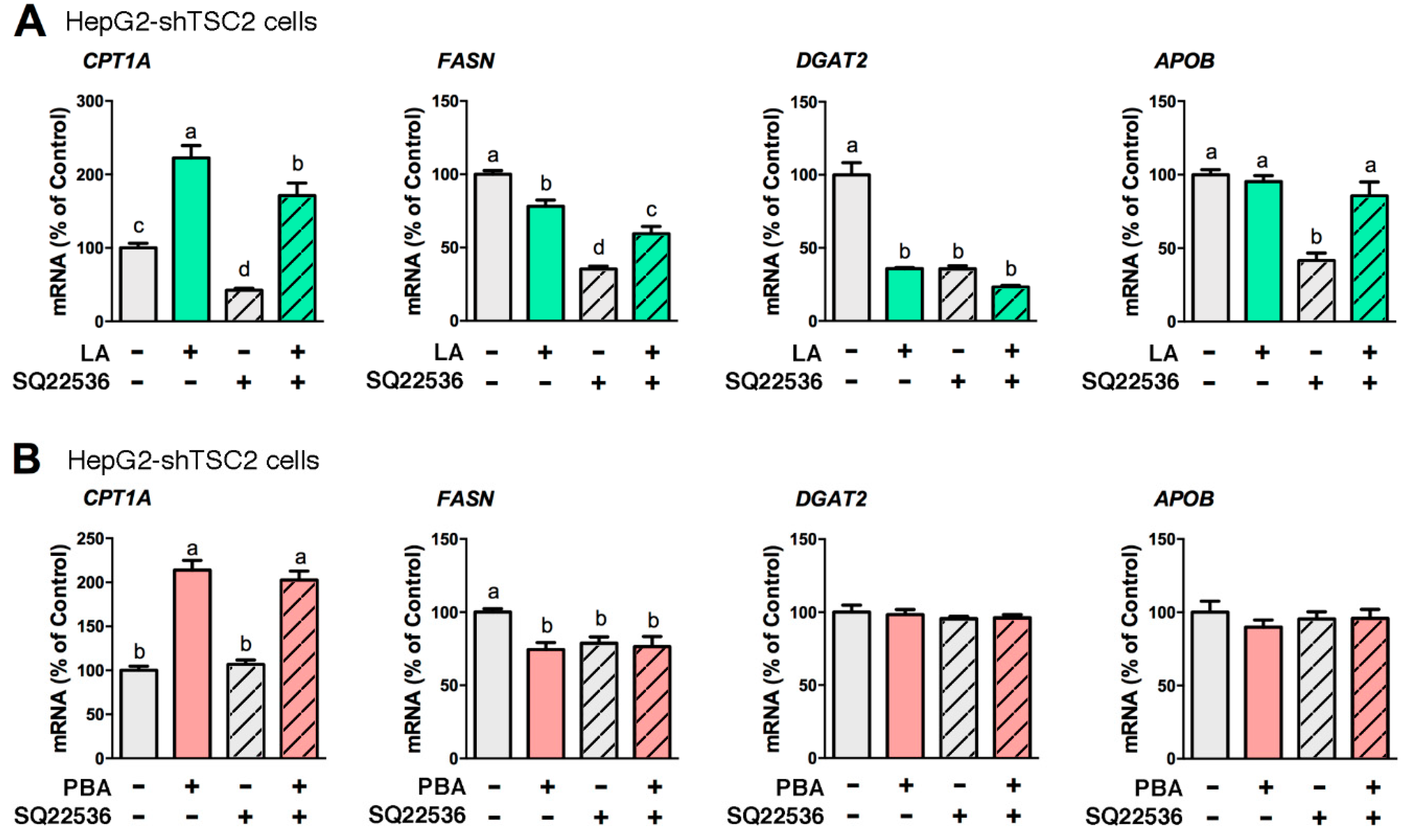 Biomedicines 08 00289 g003