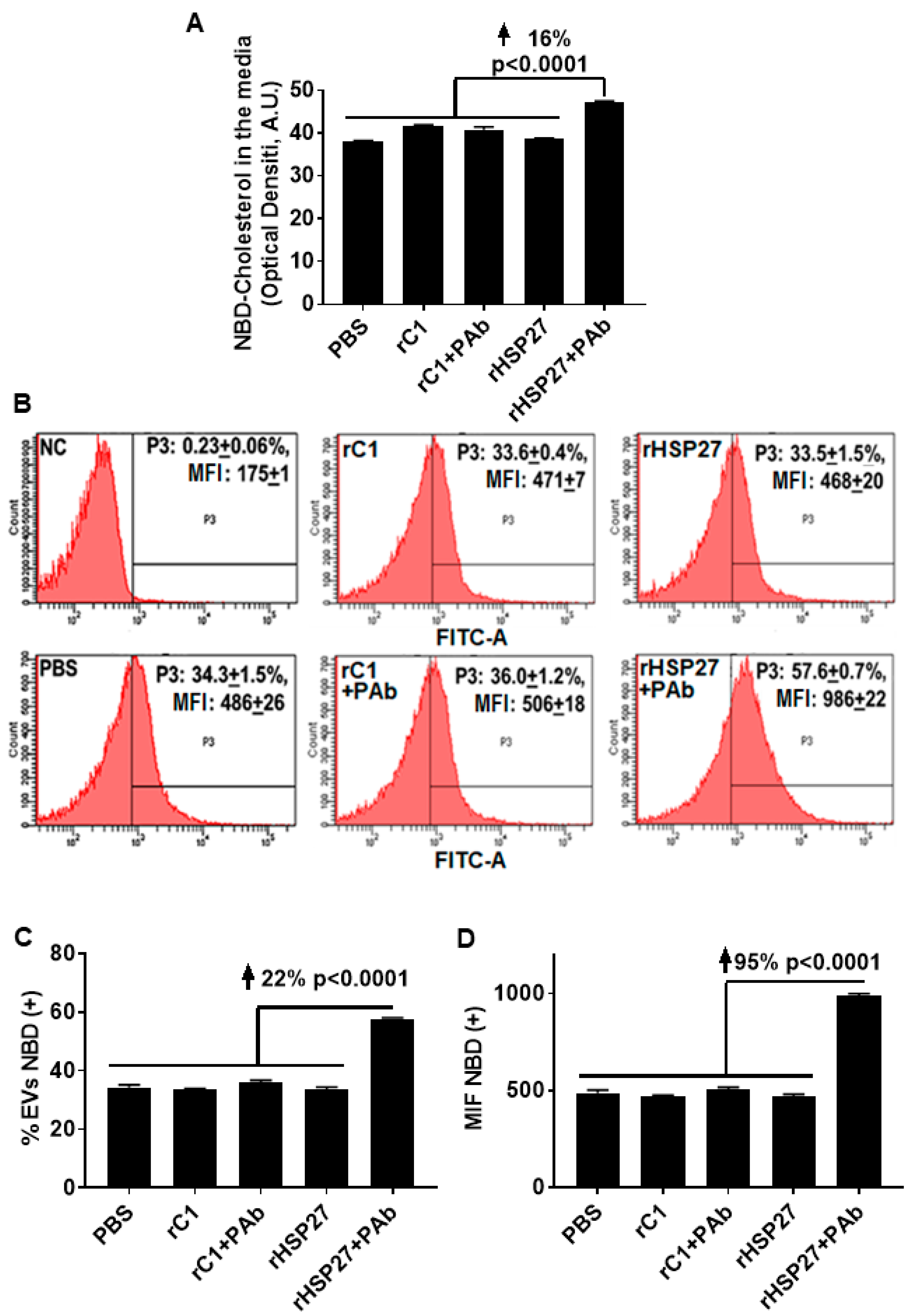 Biomedicines 08 00290 g004