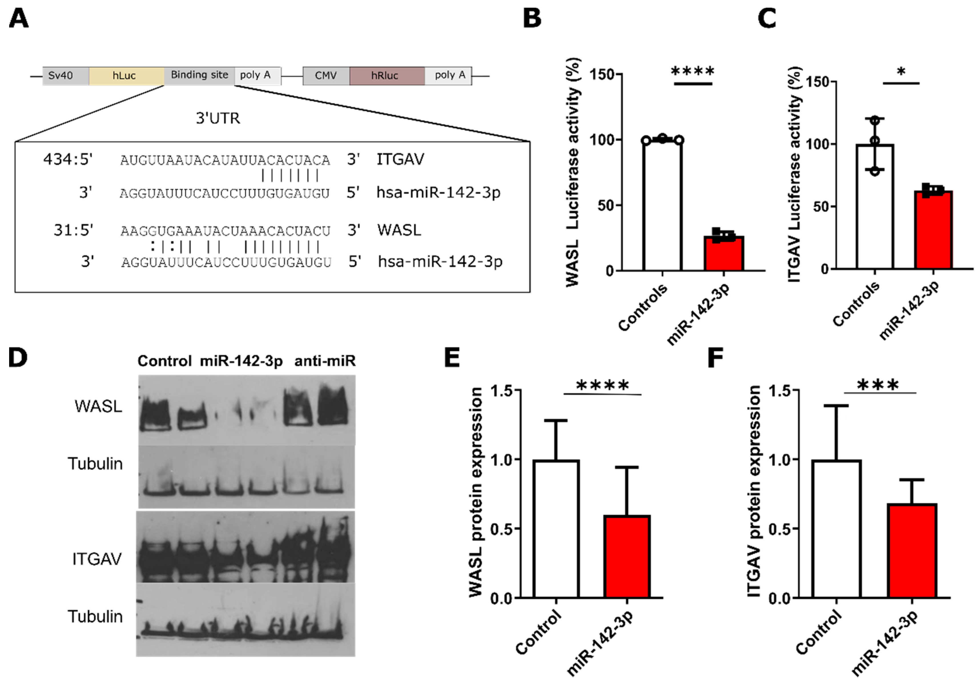 Biomedicines 08 00291 g002 Biomedicines 08 00291 g002