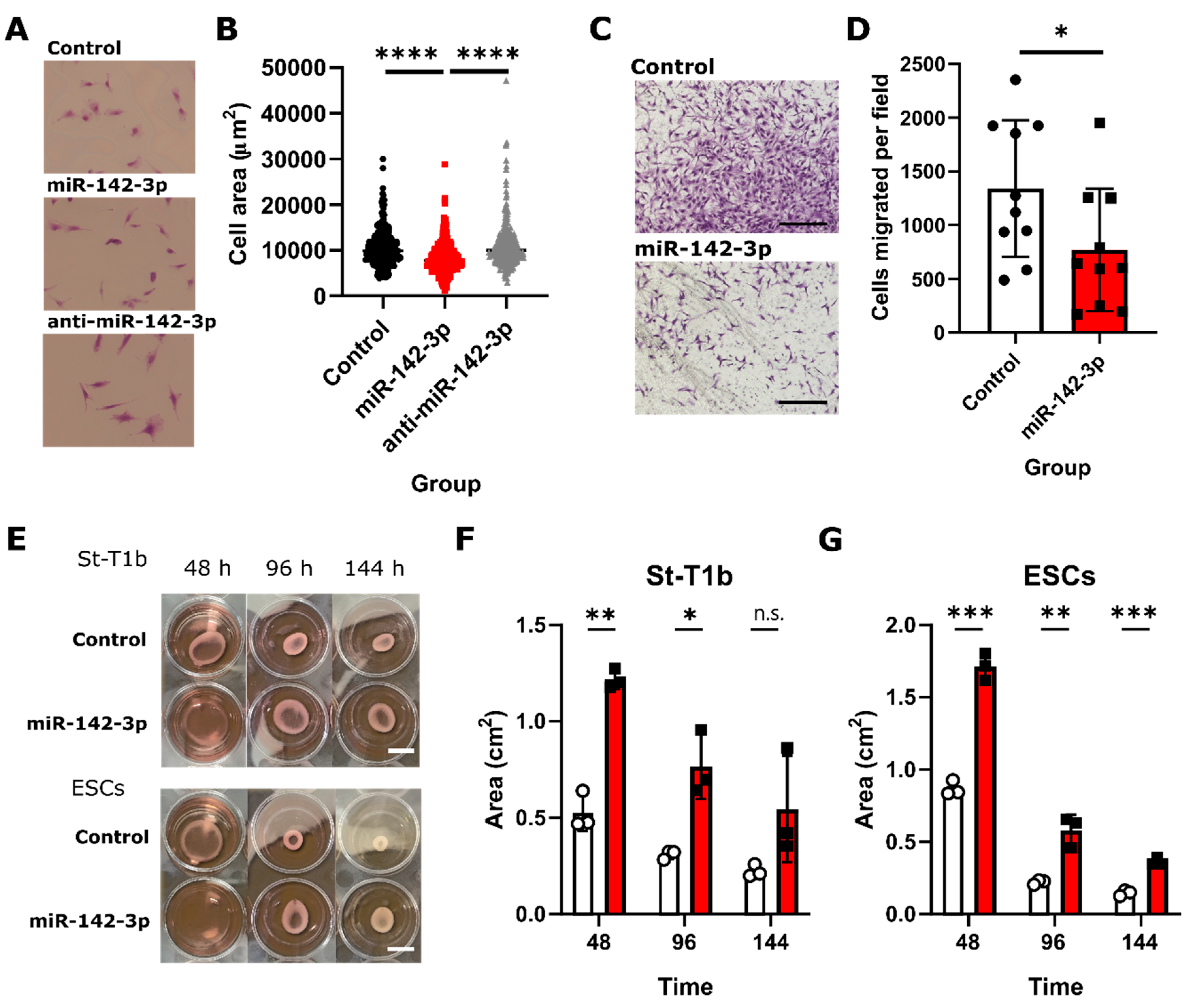 Biomedicines 08 00291 g004 Biomedicines 08 00291 g004