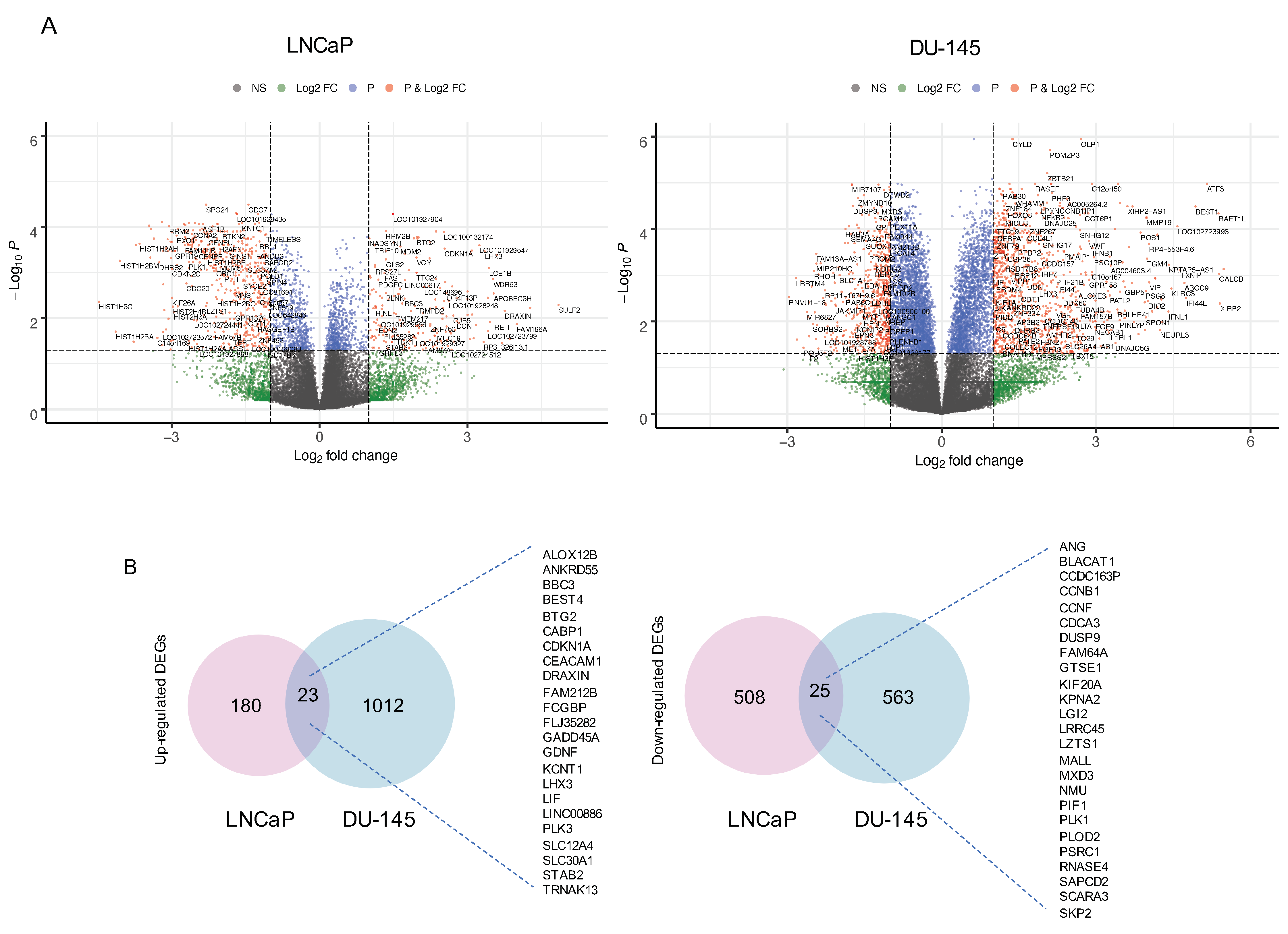 Biomedicines 08 00292 g002