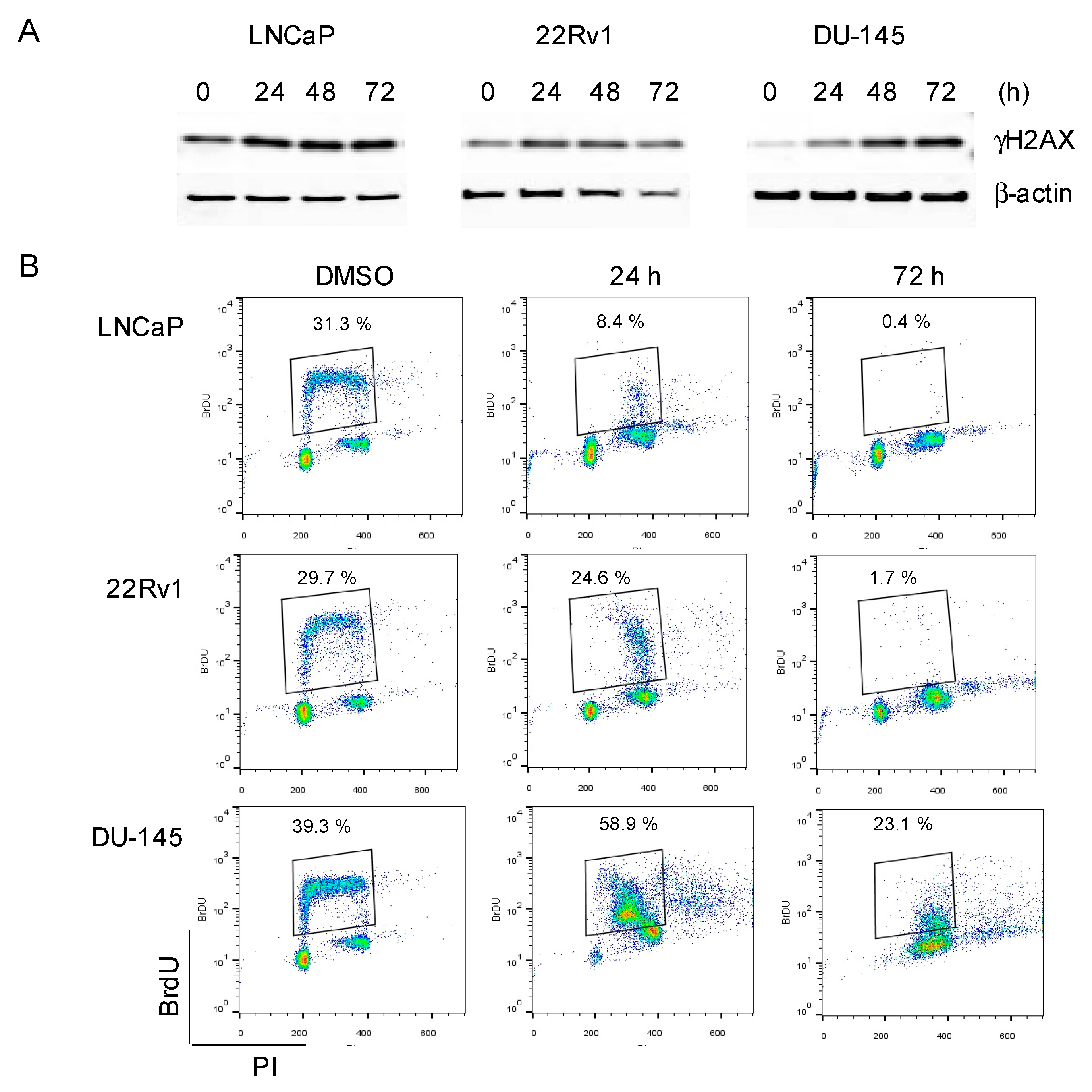Biomedicines 08 00292 g005