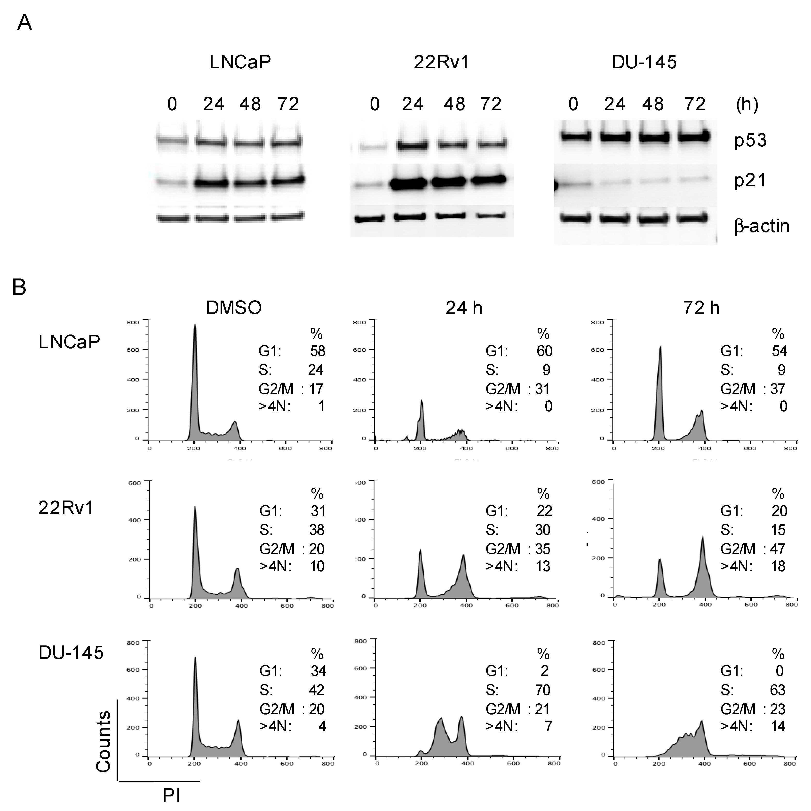 Biomedicines 08 00292 g006