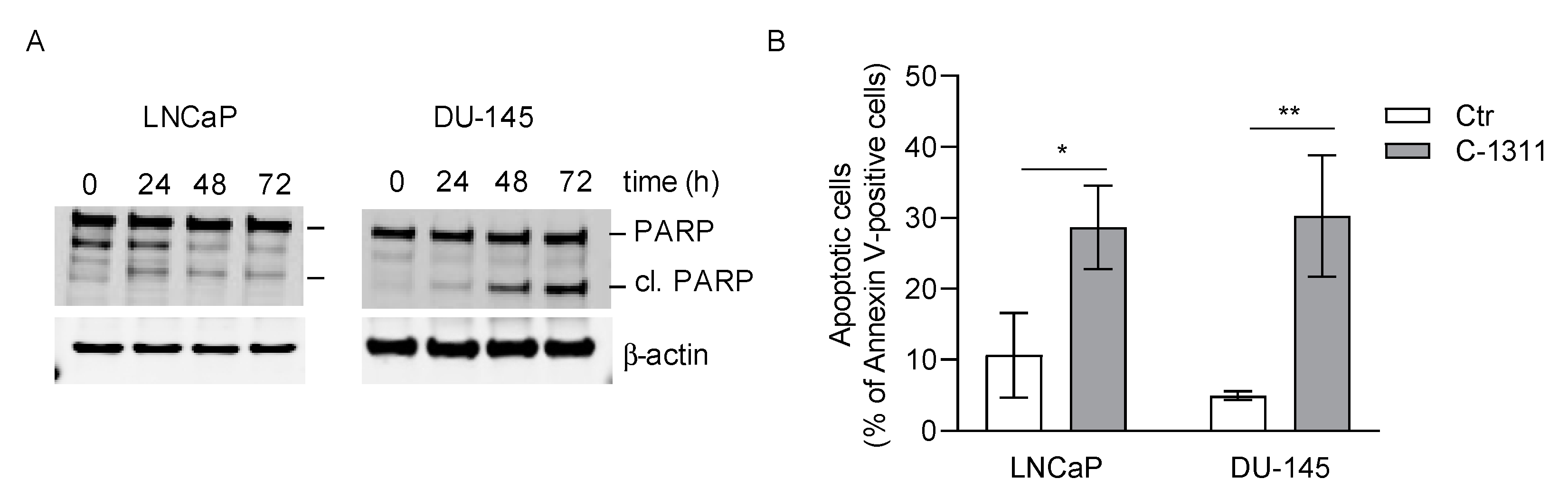 Biomedicines 08 00292 g007