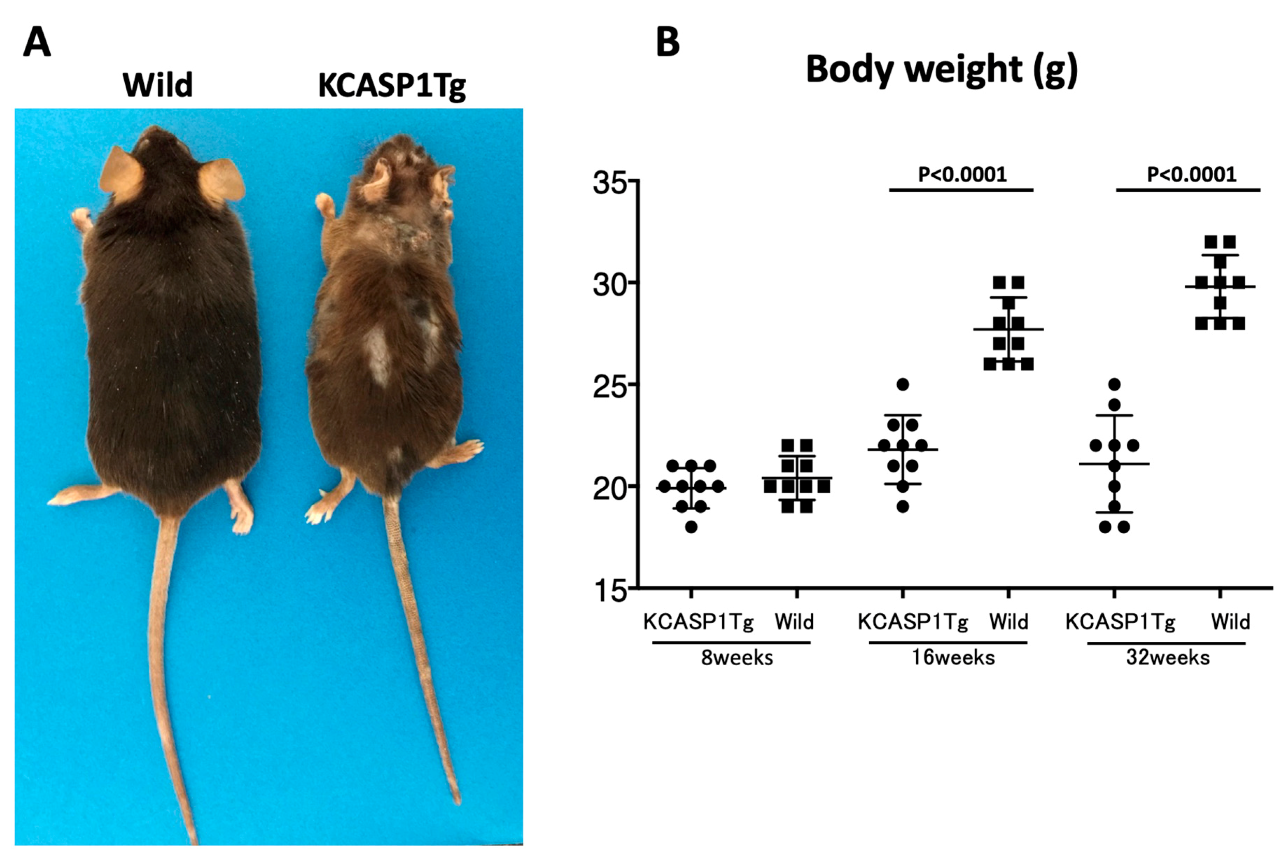 Biomedicines 08 00293 g001