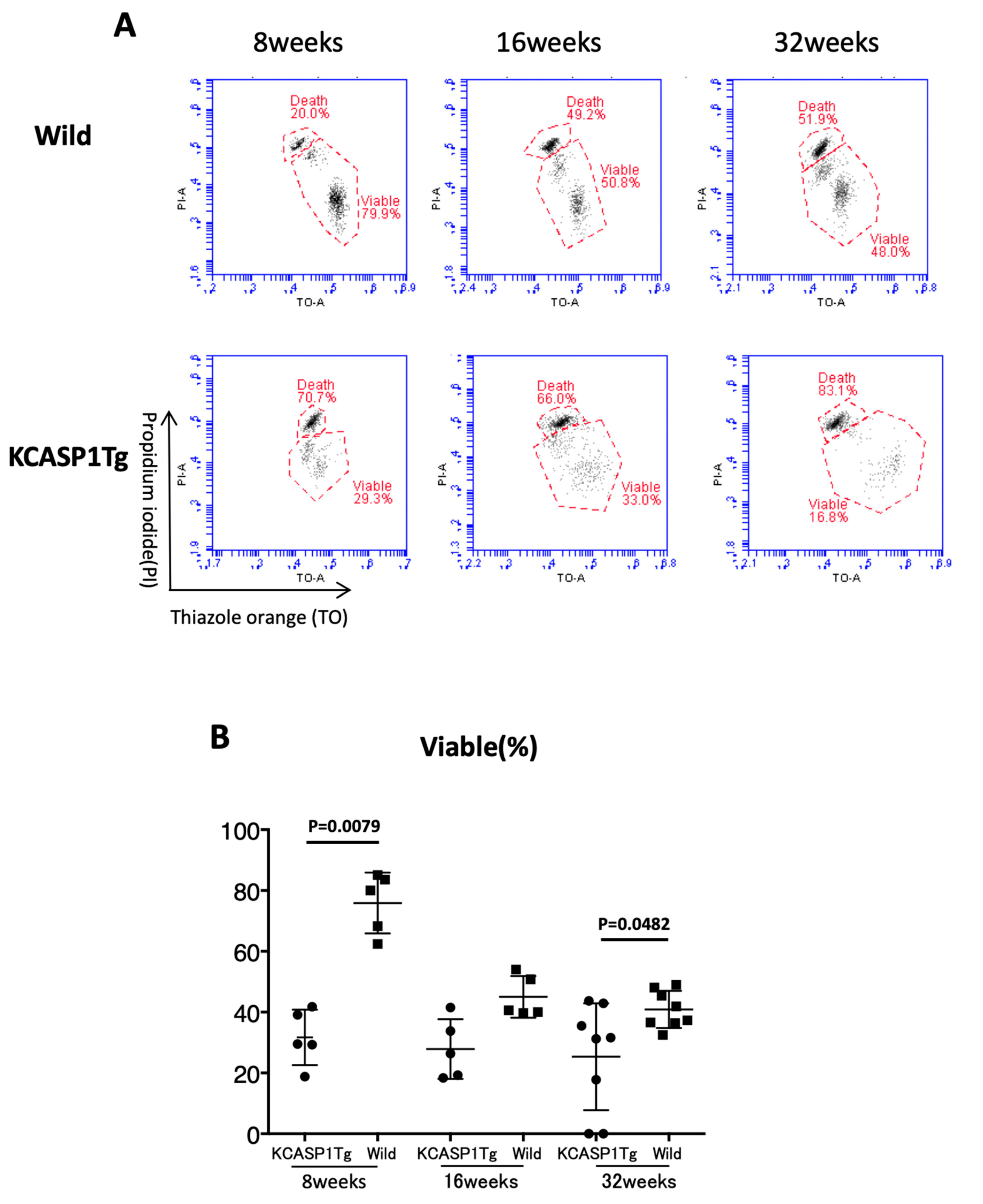 Biomedicines 08 00293 g005
