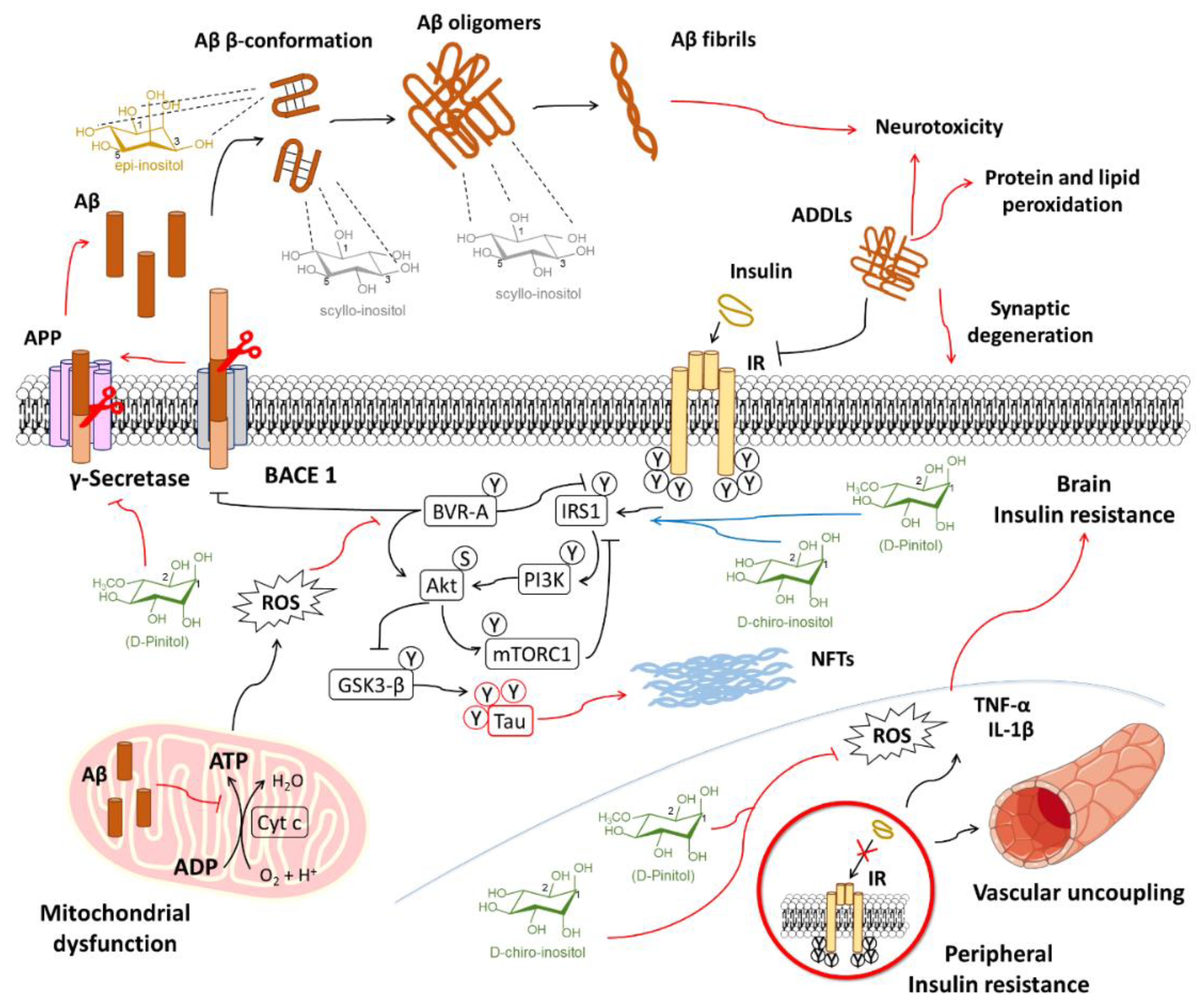 Comparison of Three Amyloid Assembly Inhibitors: The Sugar scyllo