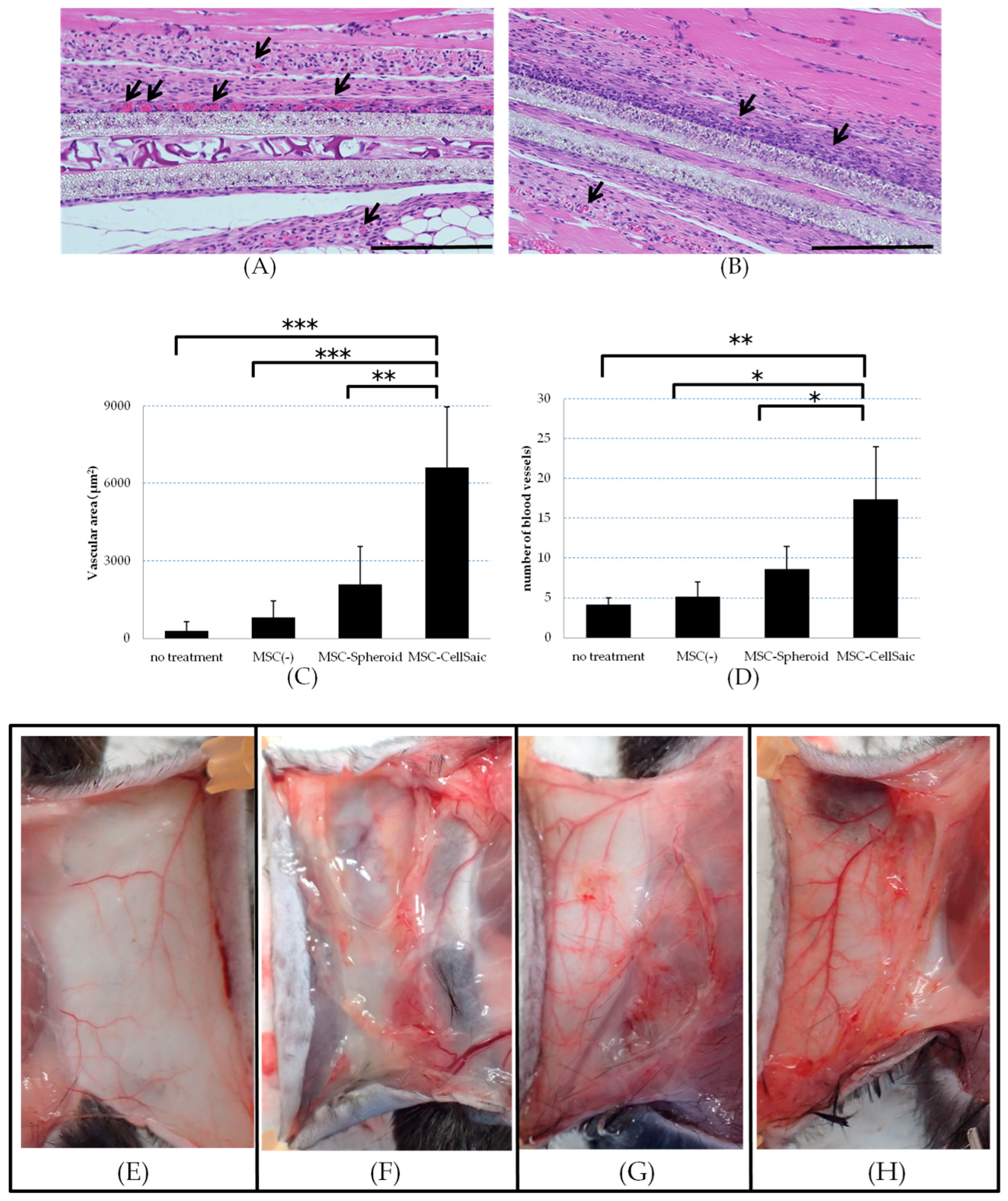 Biomedicines 08 00299 g006