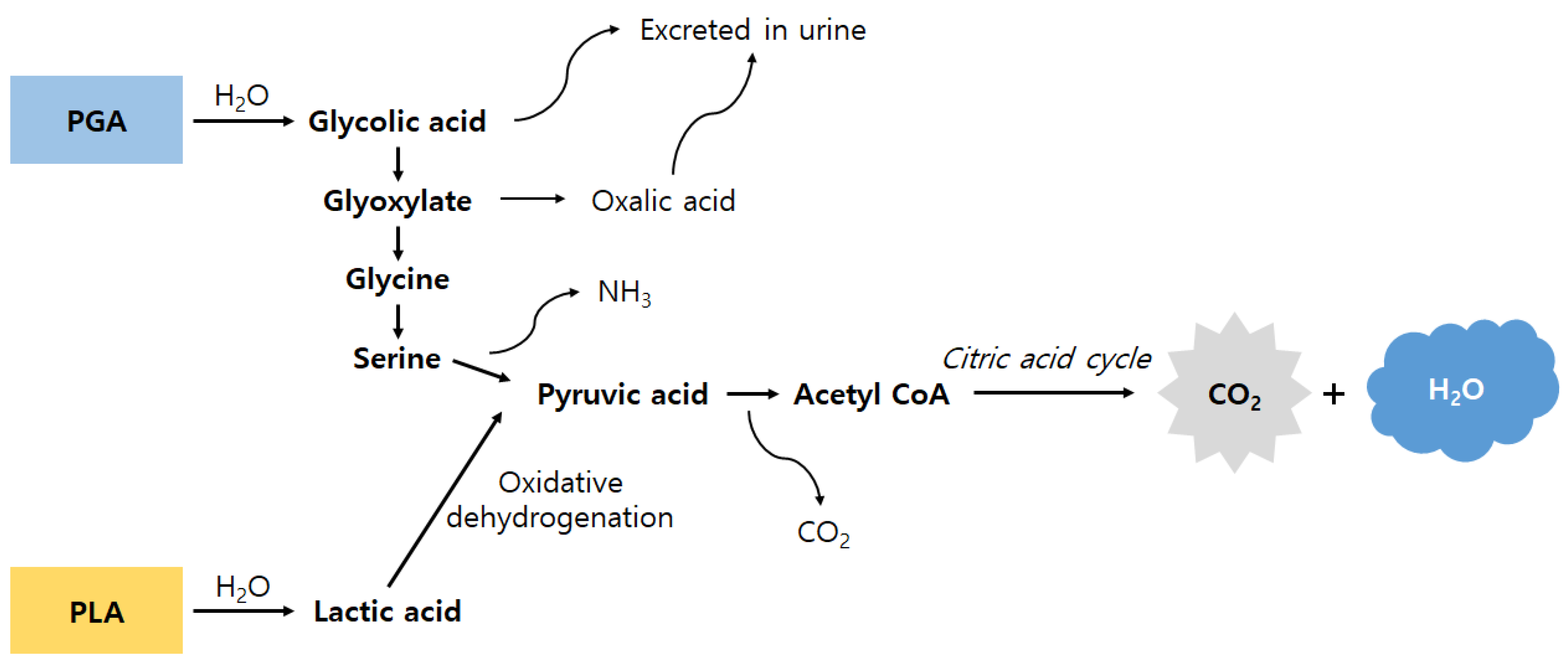 Biomedicines 08 00300 g001