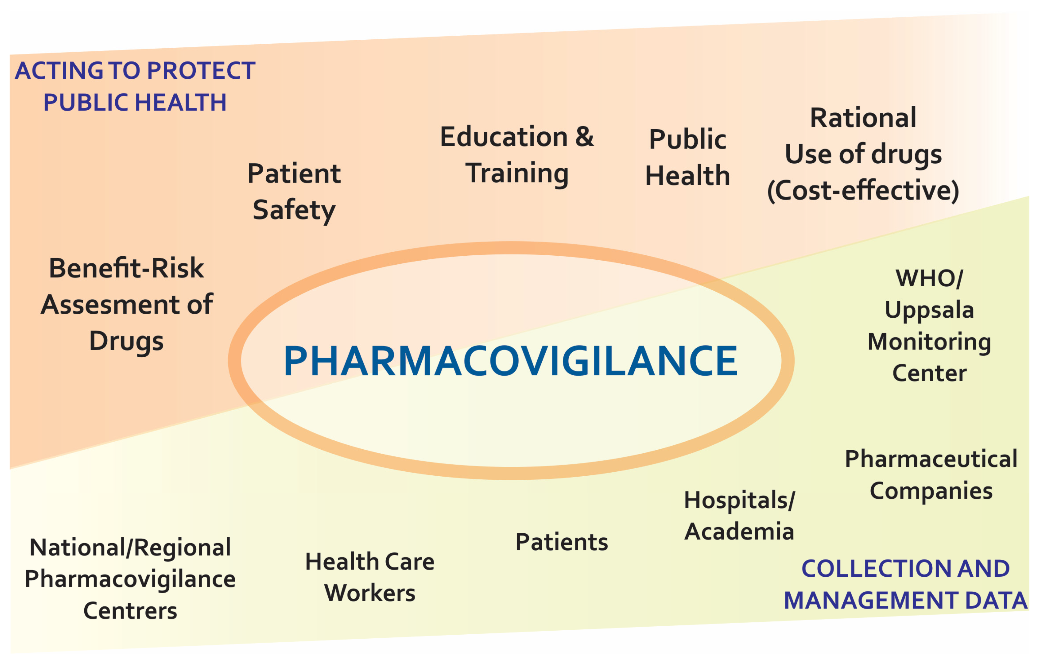 Biomedicines Free Full Text Pharmacovigilance Of Biopharmaceuticals In Rheumatic Diseases Adverse Events Evolution And Perspective An Overview Html