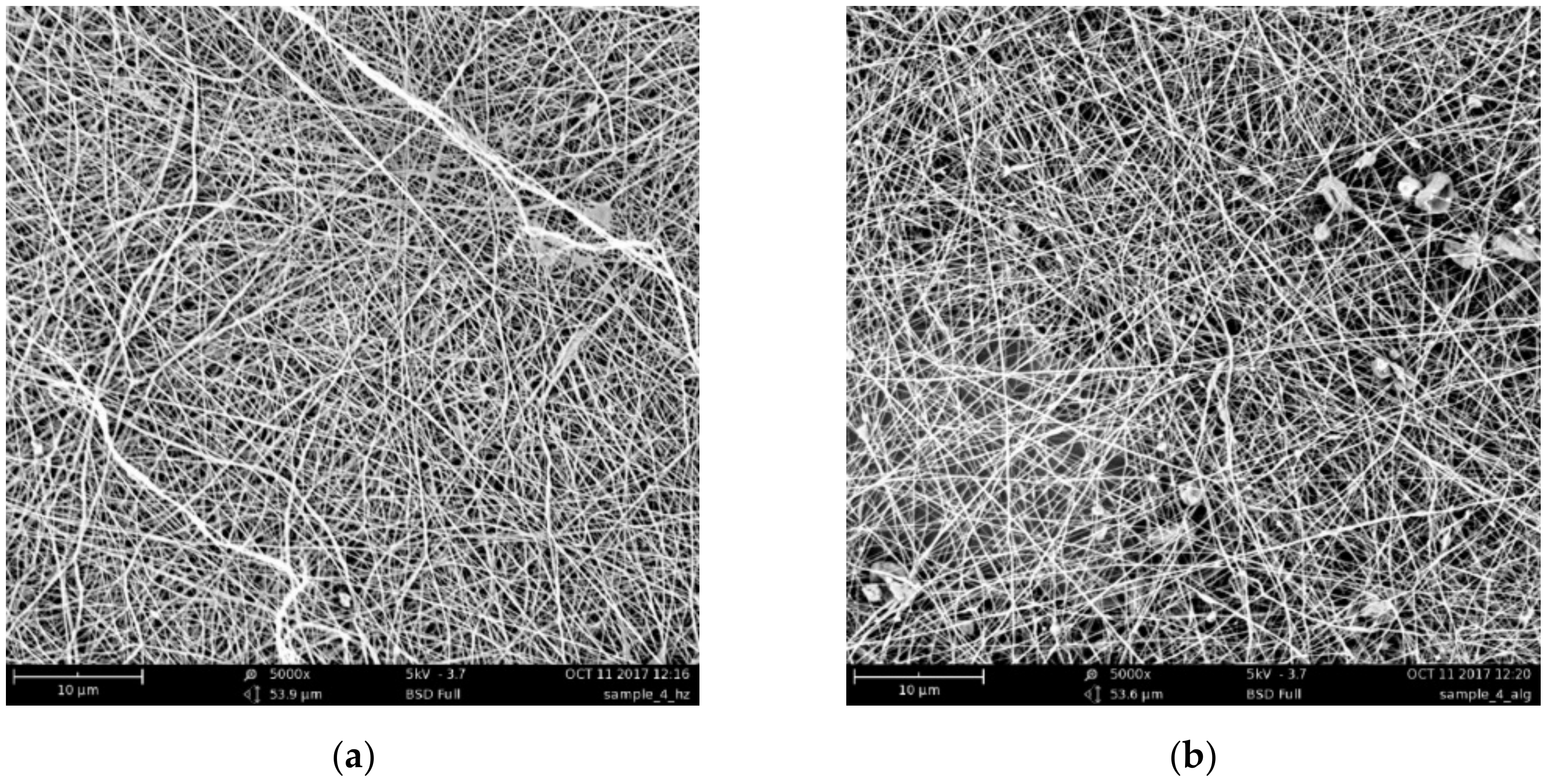 Biomedicines 08 00305 g002