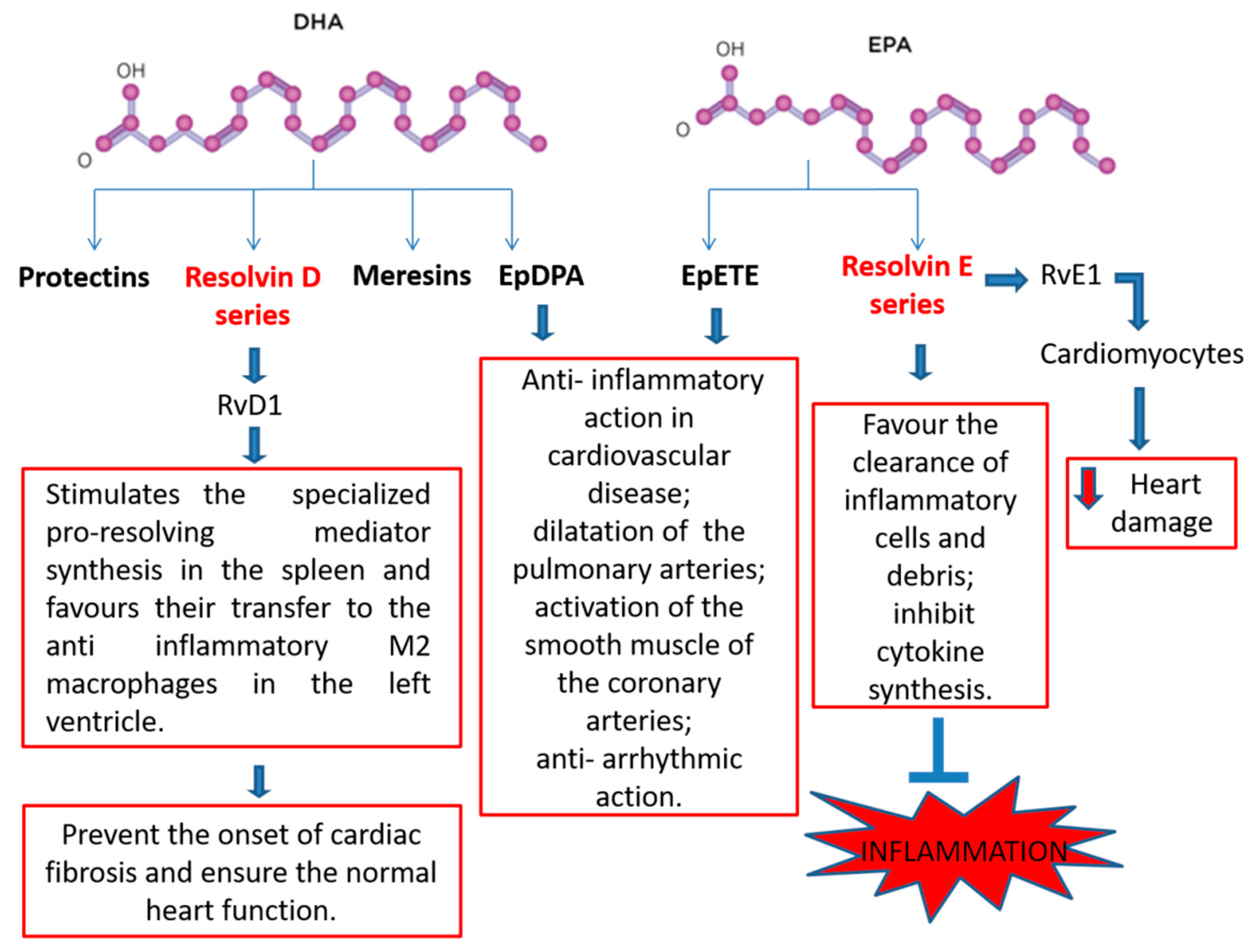 Biomedicines 08 00306 g002