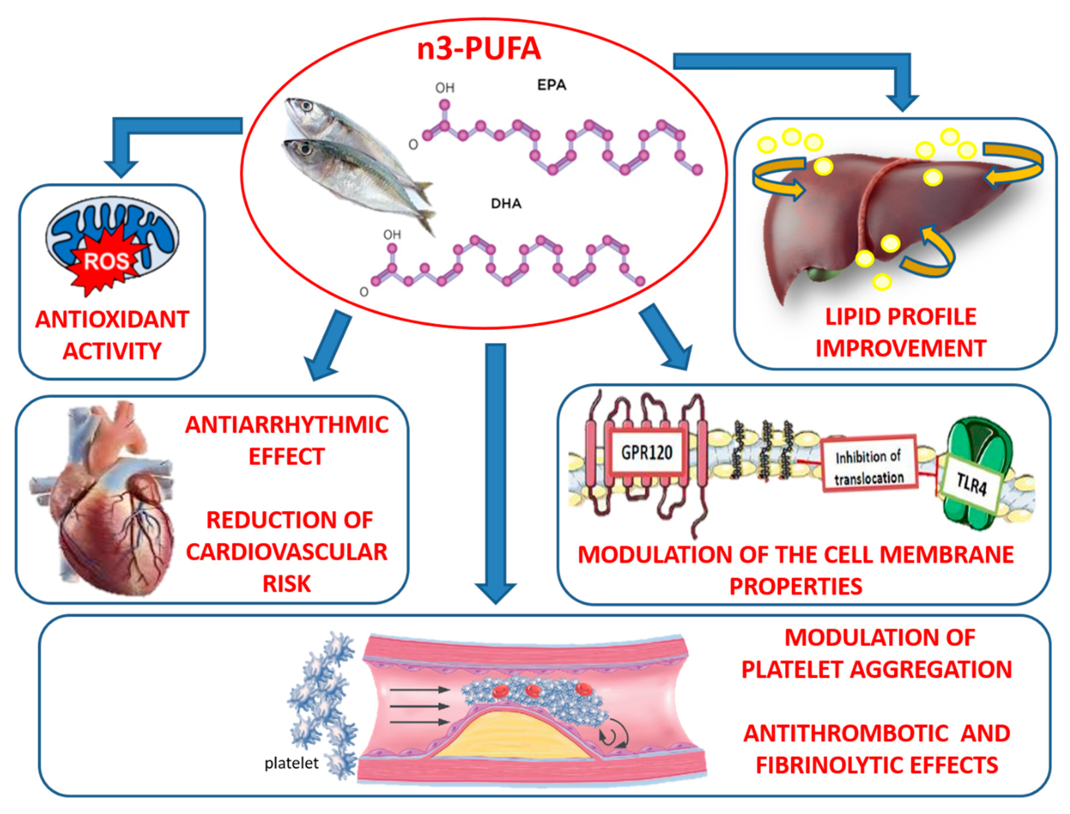 Biomedicines 08 00306 g003
