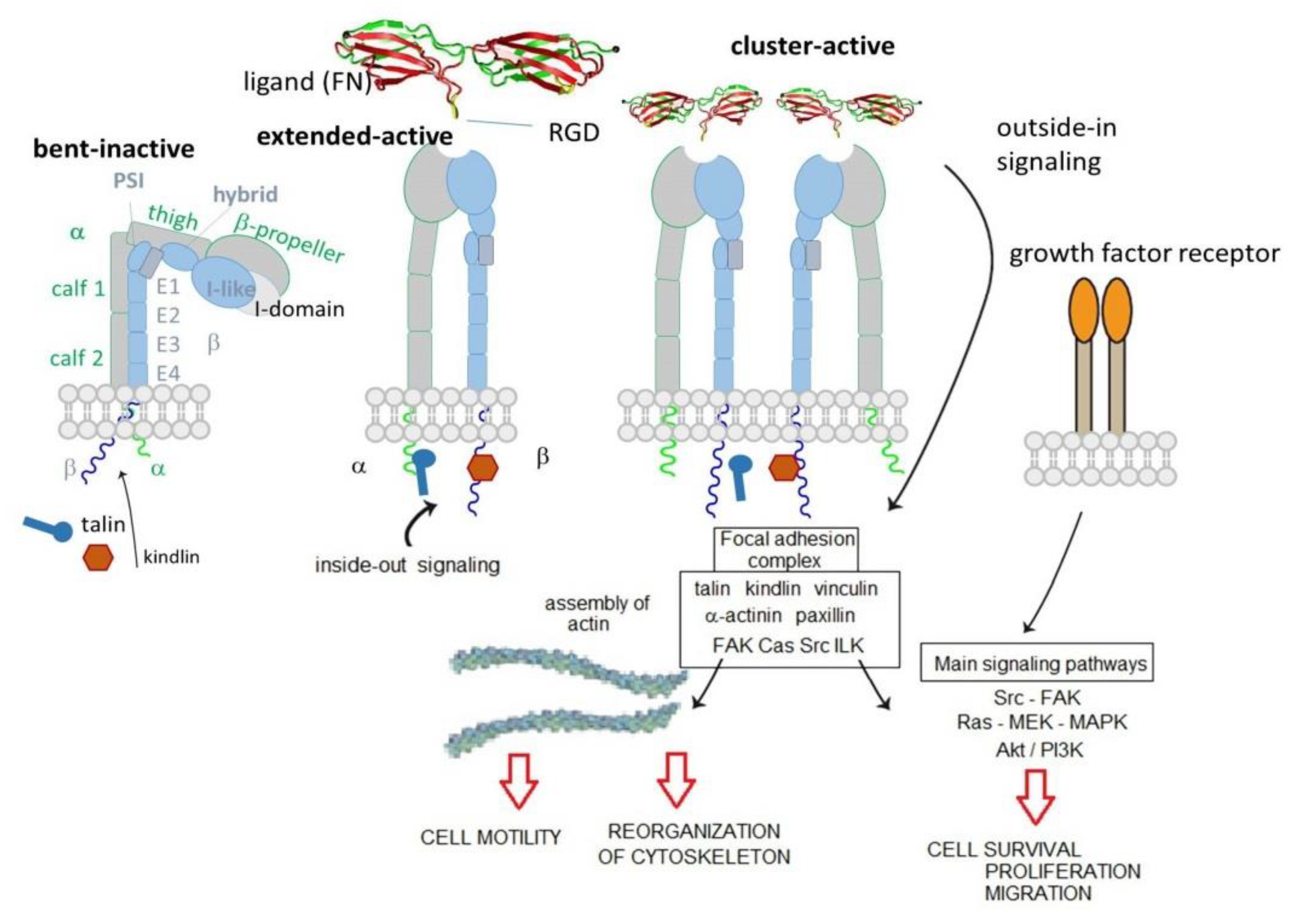 Biomedicines 08 00307 g001