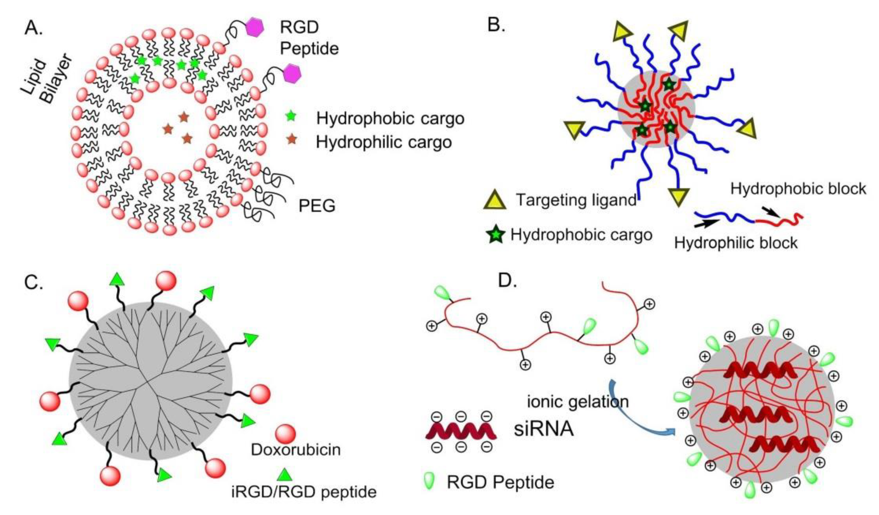 Biomedicines 08 00307 g006