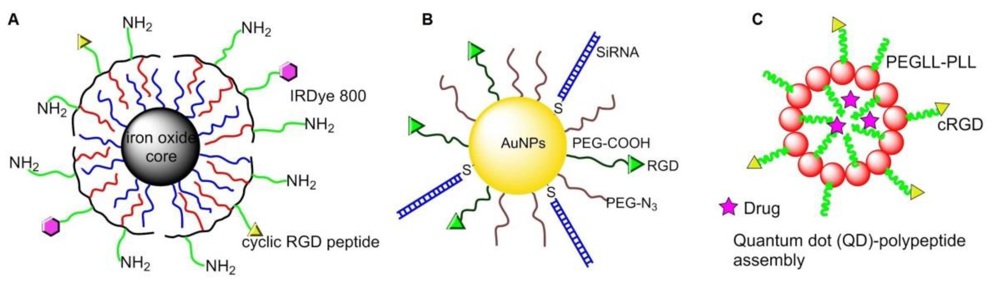Biomedicines 08 00307 g008