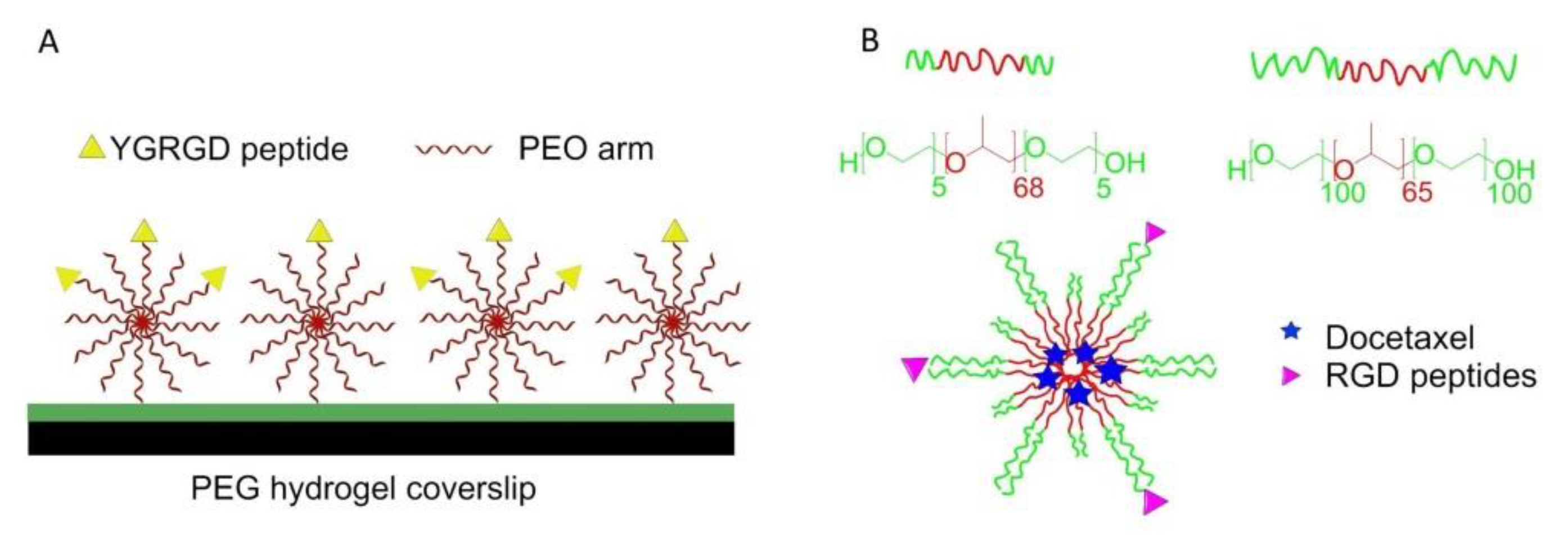 Biomedicines 08 00307 g009