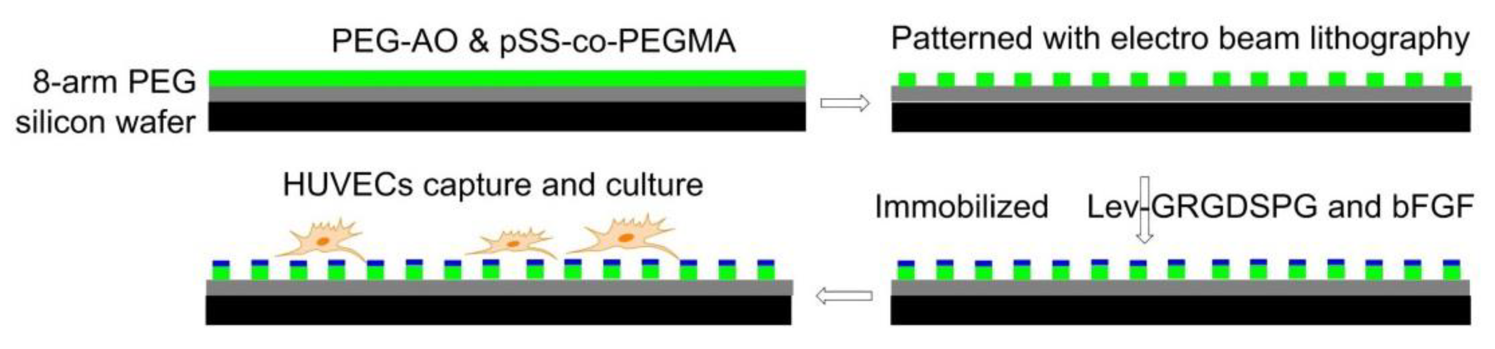 Biomedicines 08 00307 g010