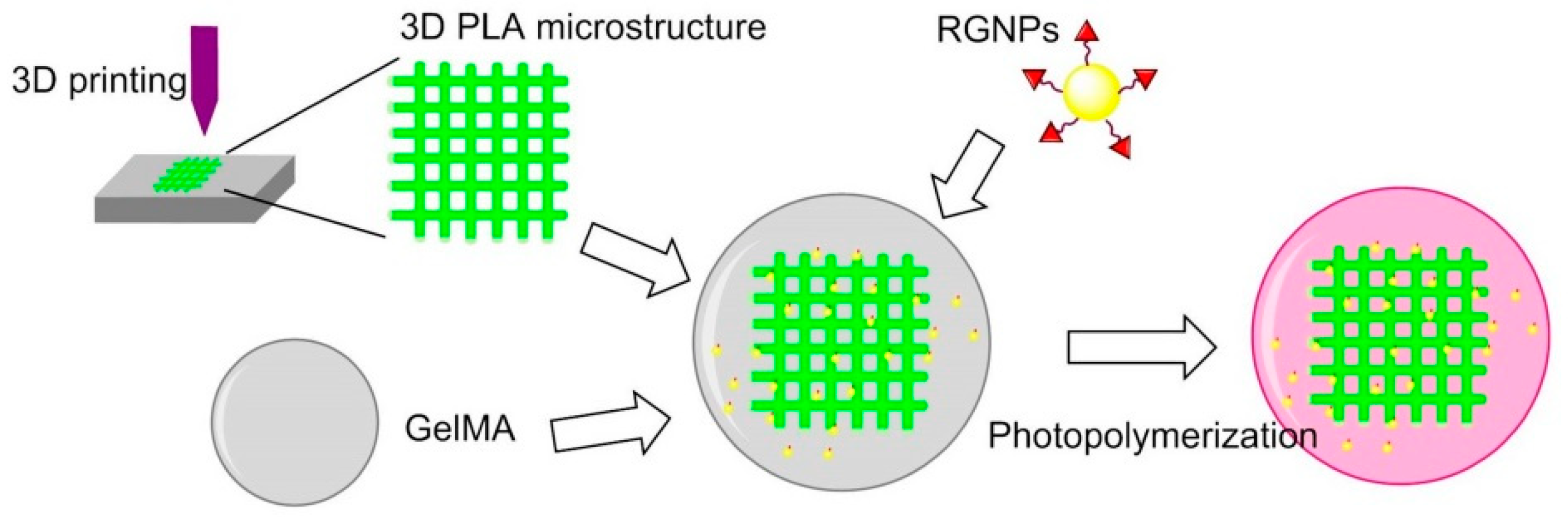 Biomedicines 08 00307 g014