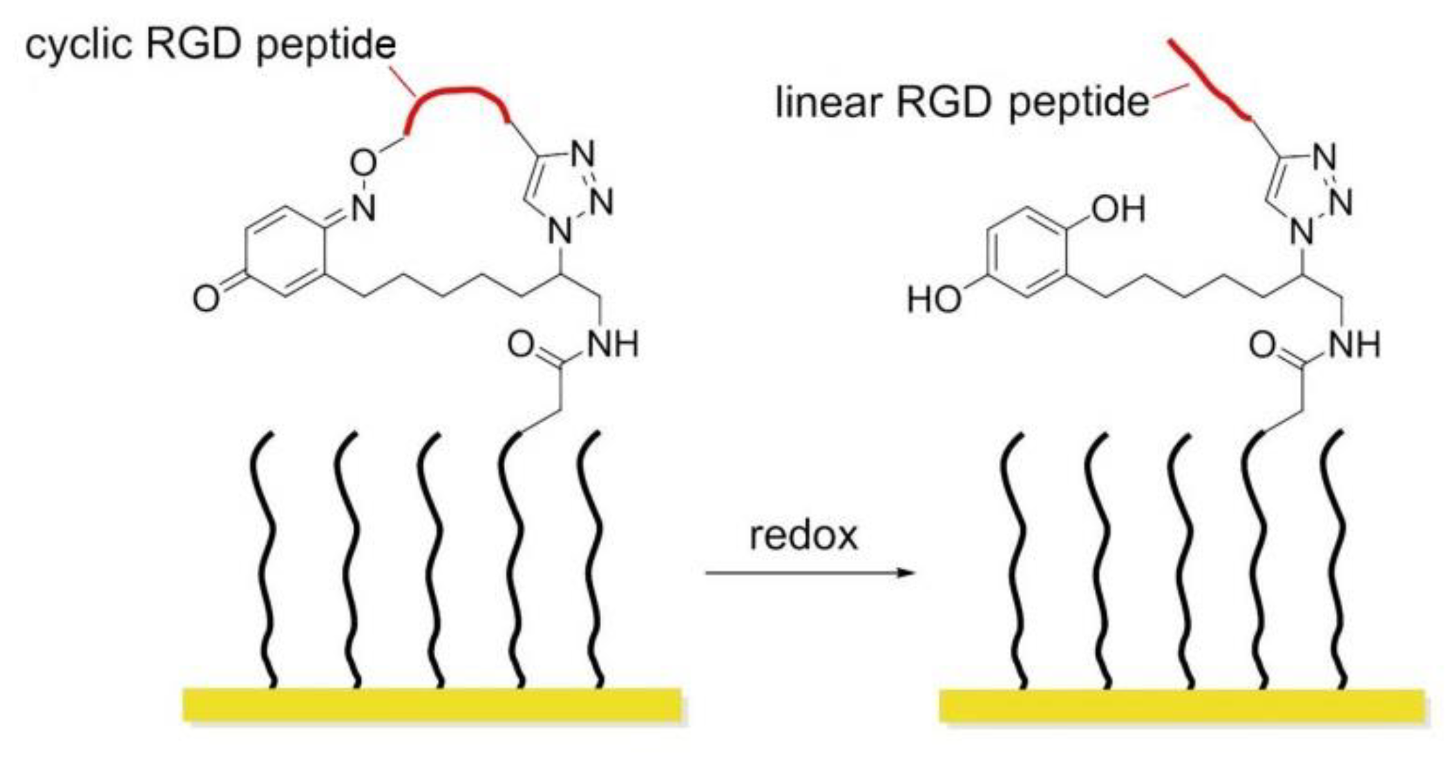 Biomedicines 08 00307 g018