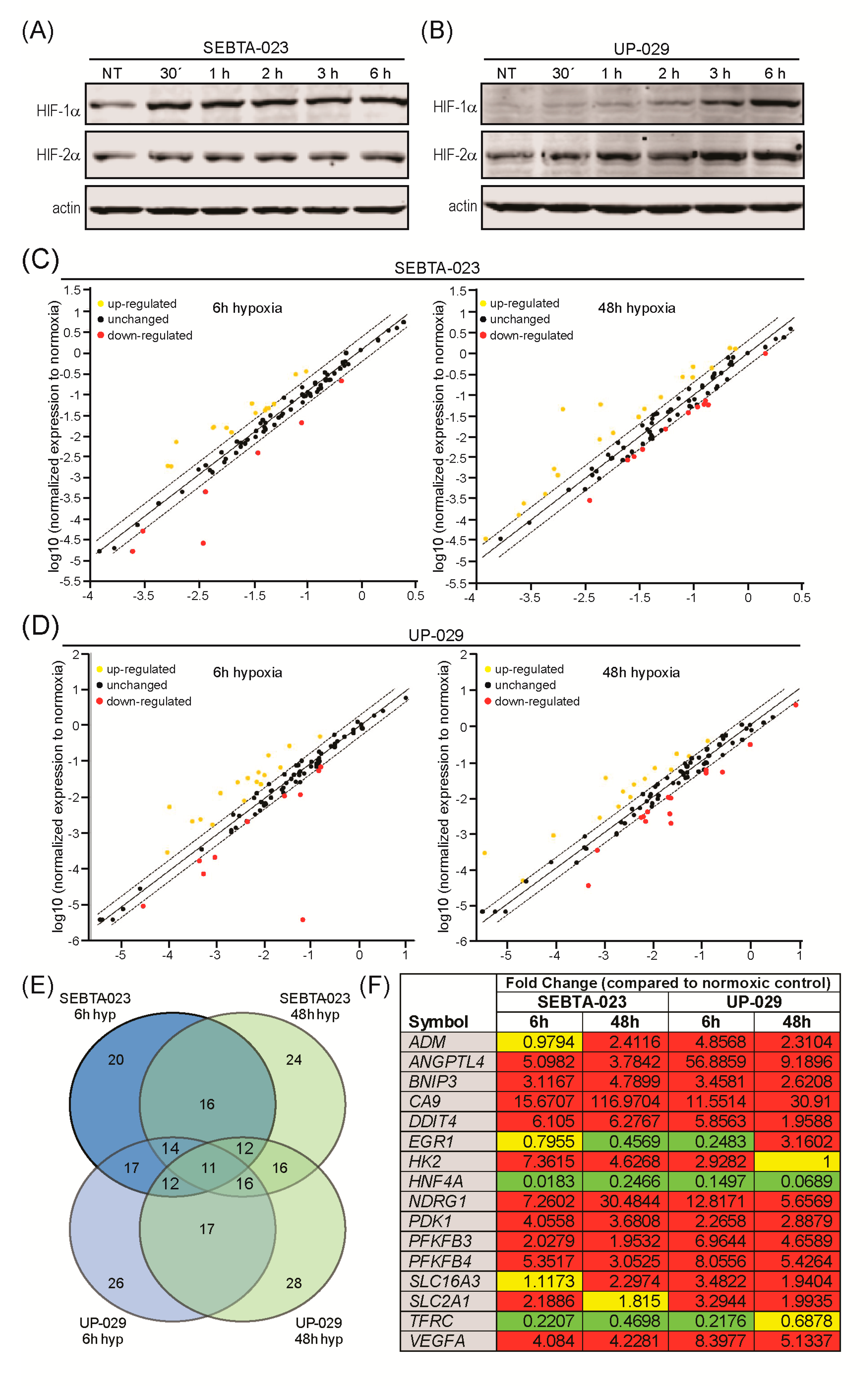 Biomedicines 08 00310 g001 Biomedicines 08 00310 g001
