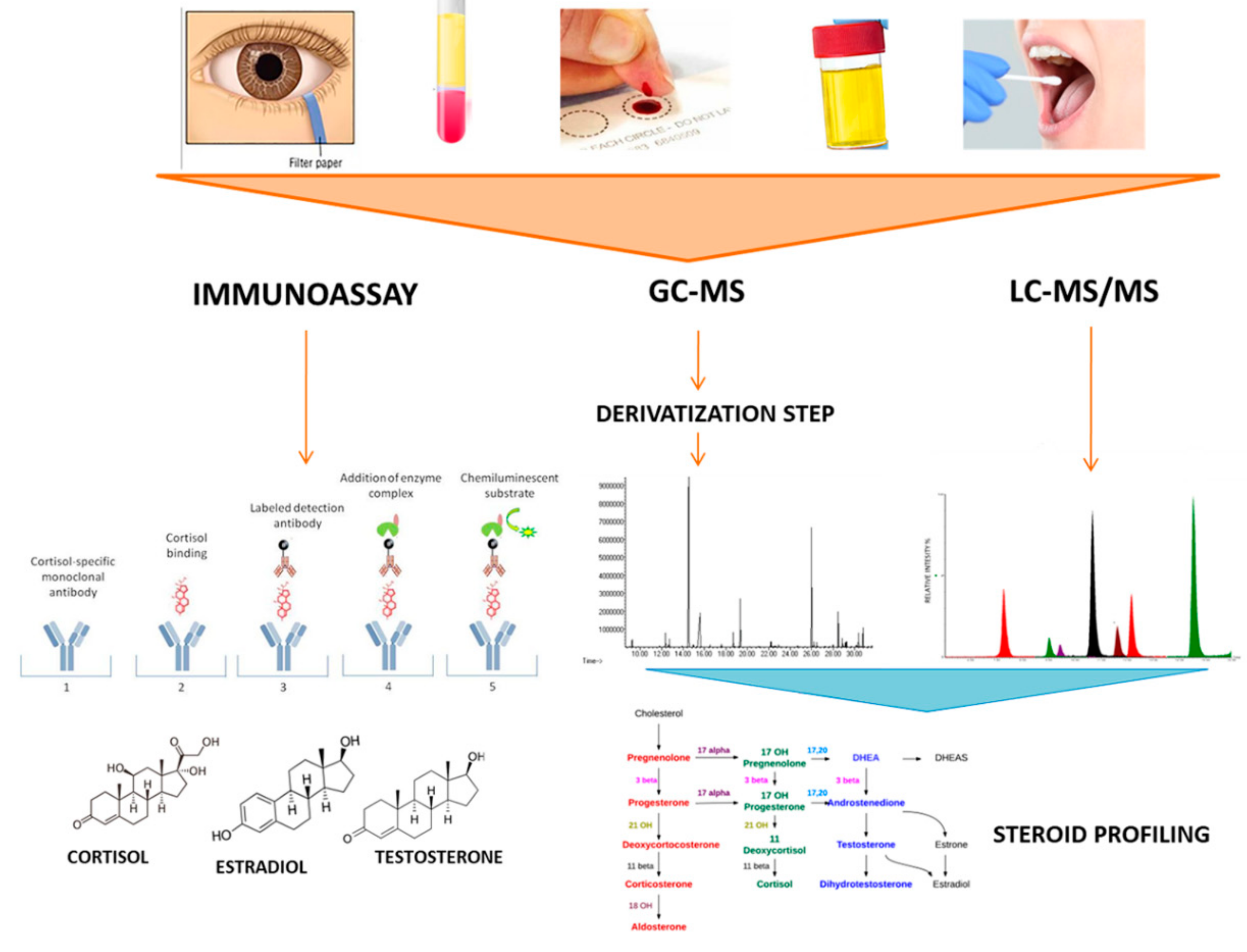 Biomedicines | Free Full-Text | The Potential of Steroid Profiling by Mass  Spectrometry in the Management of Adrenocortical Carcinoma