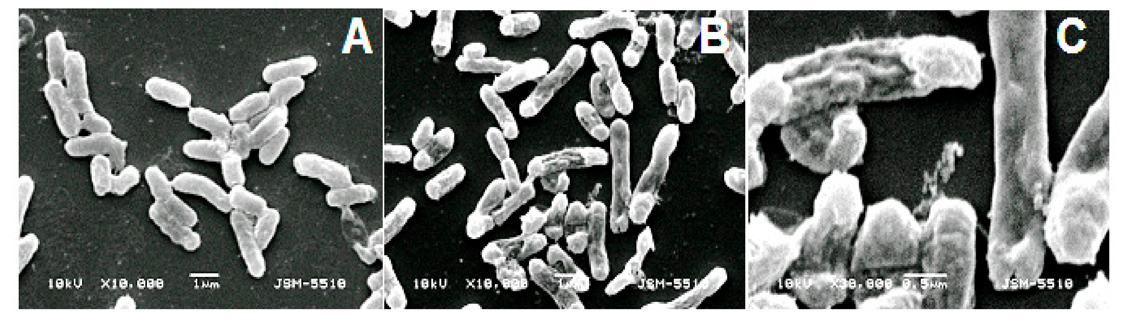 Biomedicines 08 00315 g005