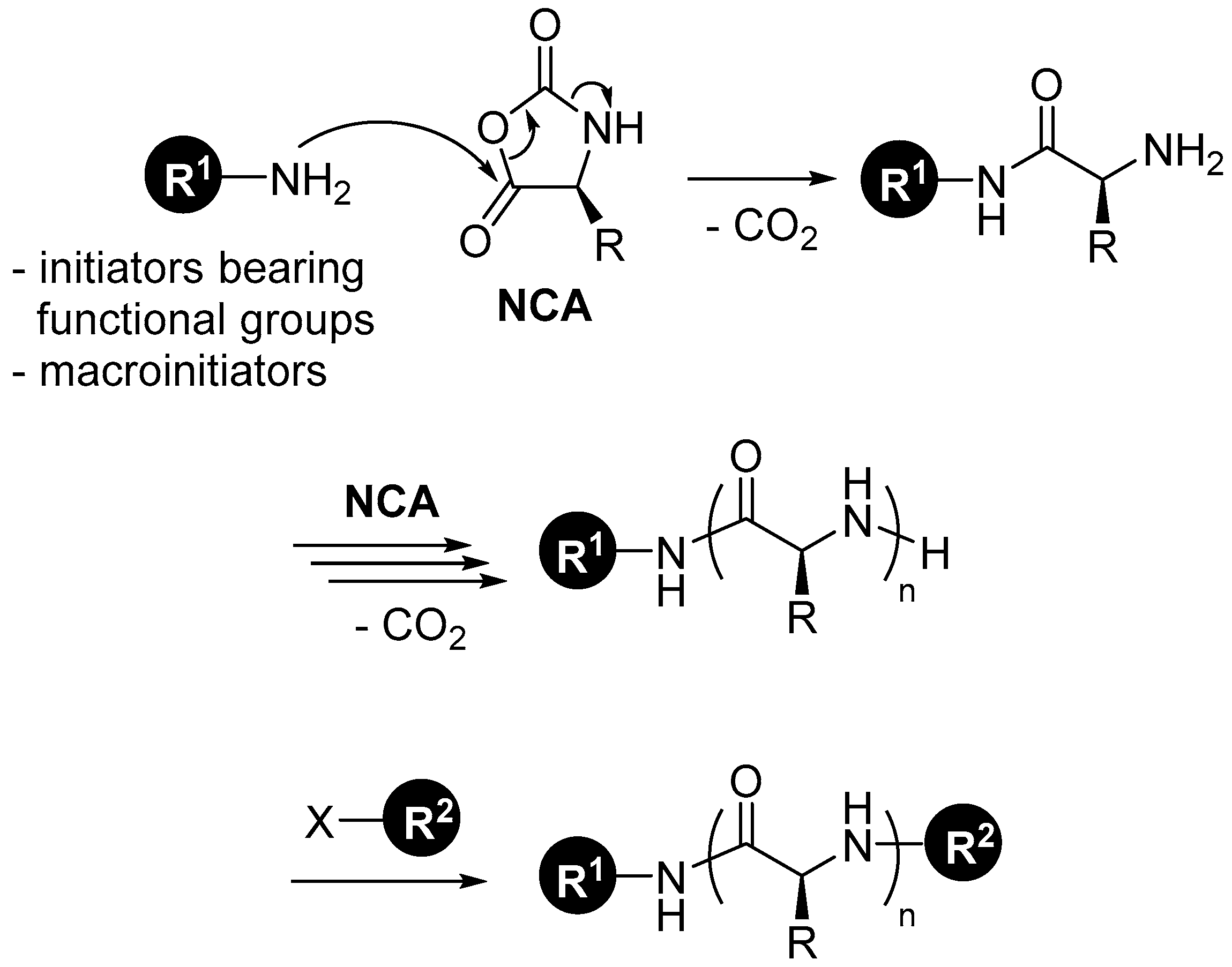 Biomedicines 08 00317 sch001