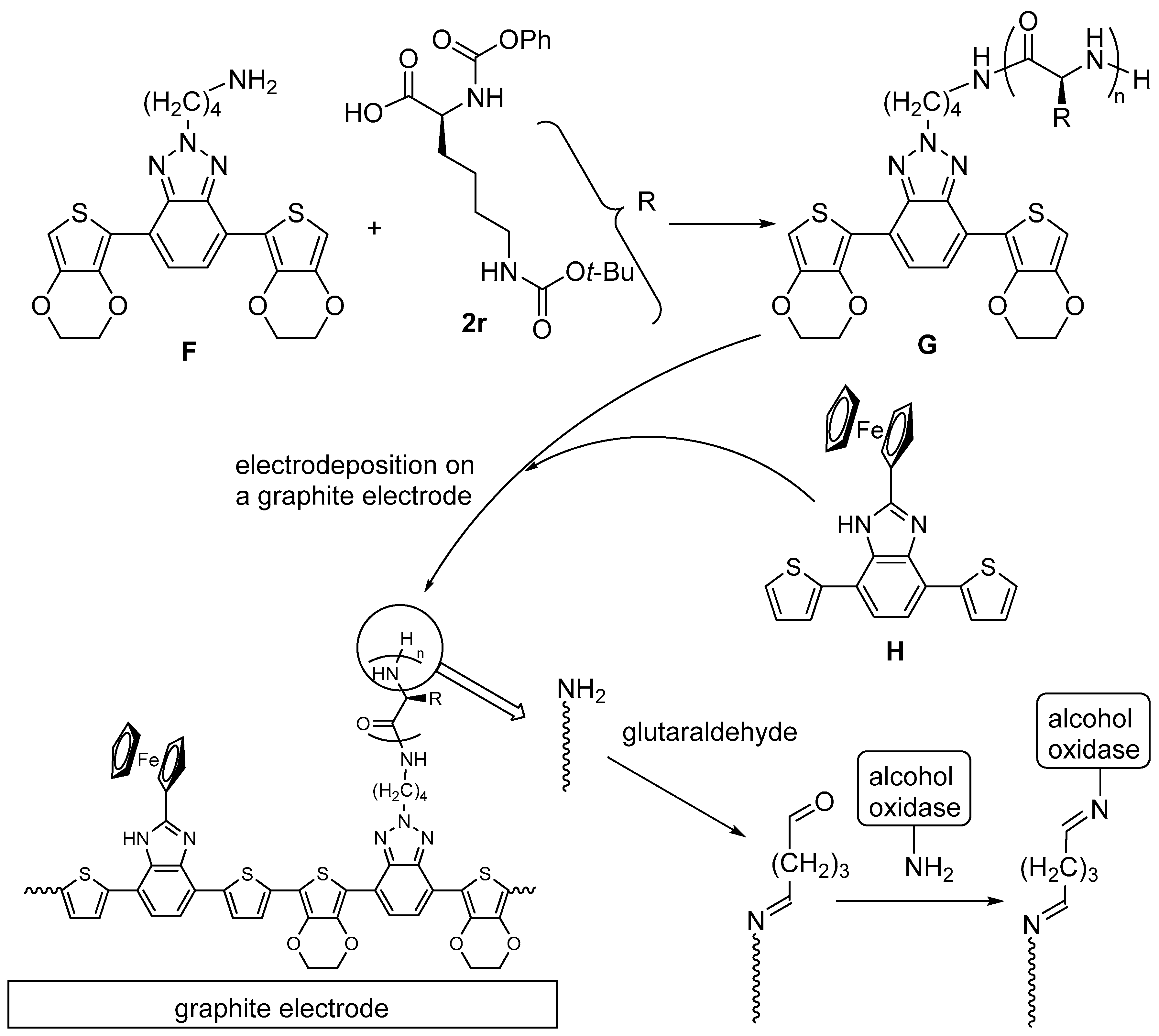 Biomedicines 08 00317 sch025