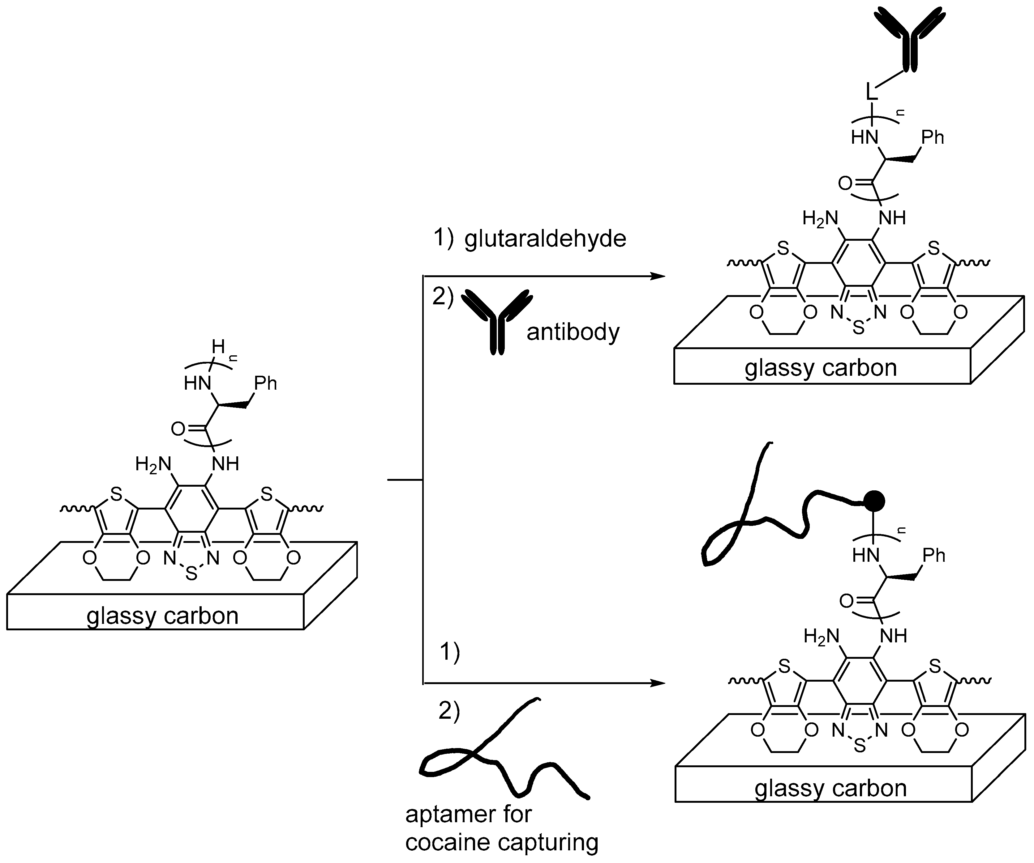 Biomedicines 08 00317 sch026