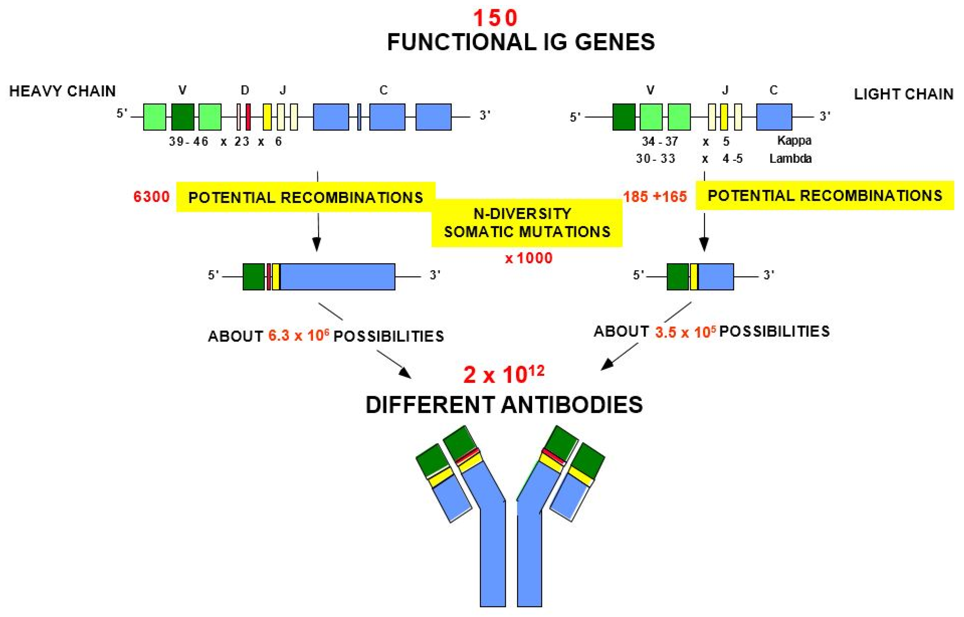 Biomedicines 08 00319 g006