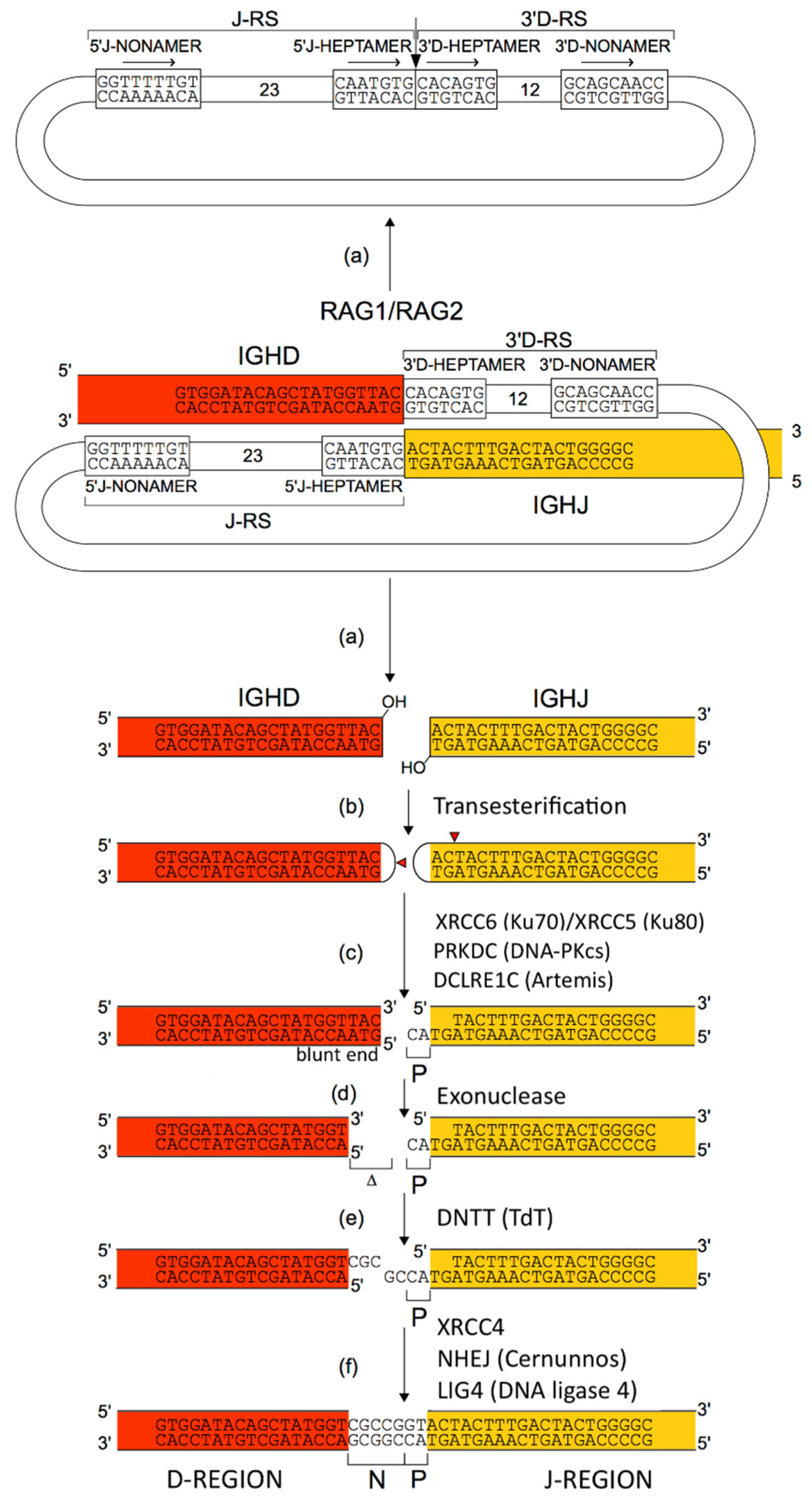Biomedicines 08 00319 g009