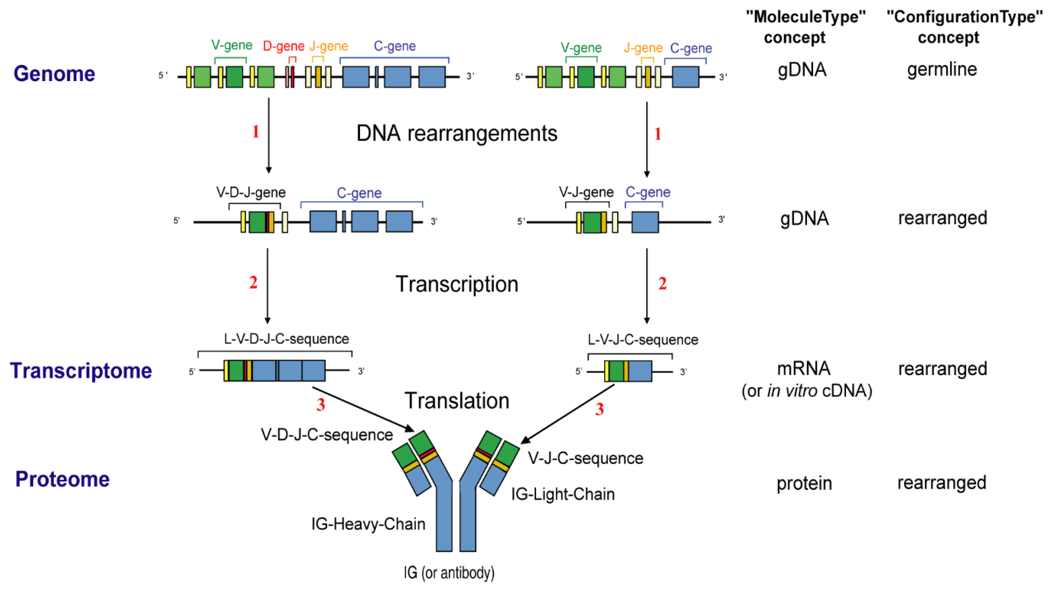 Biomedicines 08 00319 g015