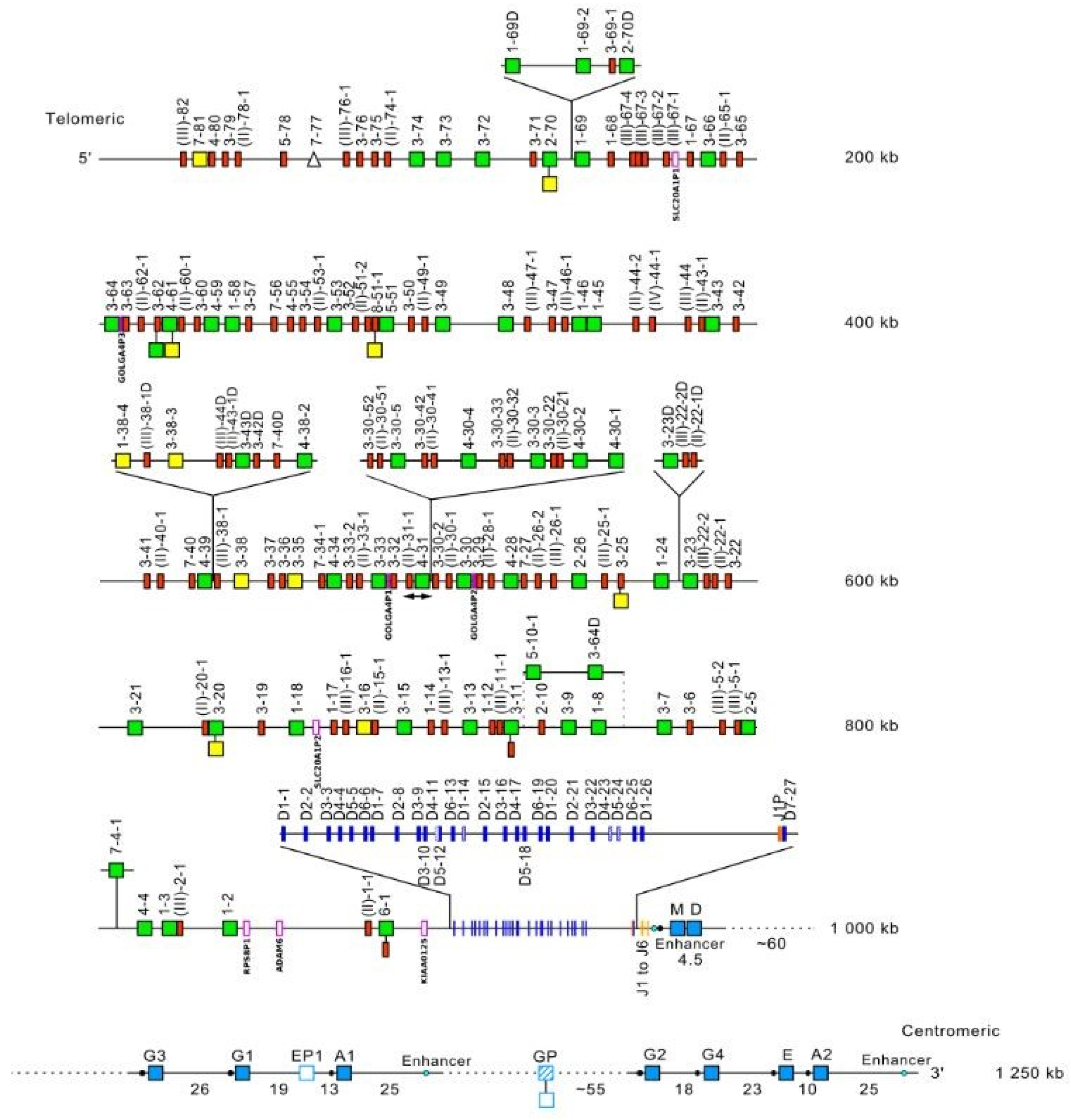 Biomedicines 08 00319 g016