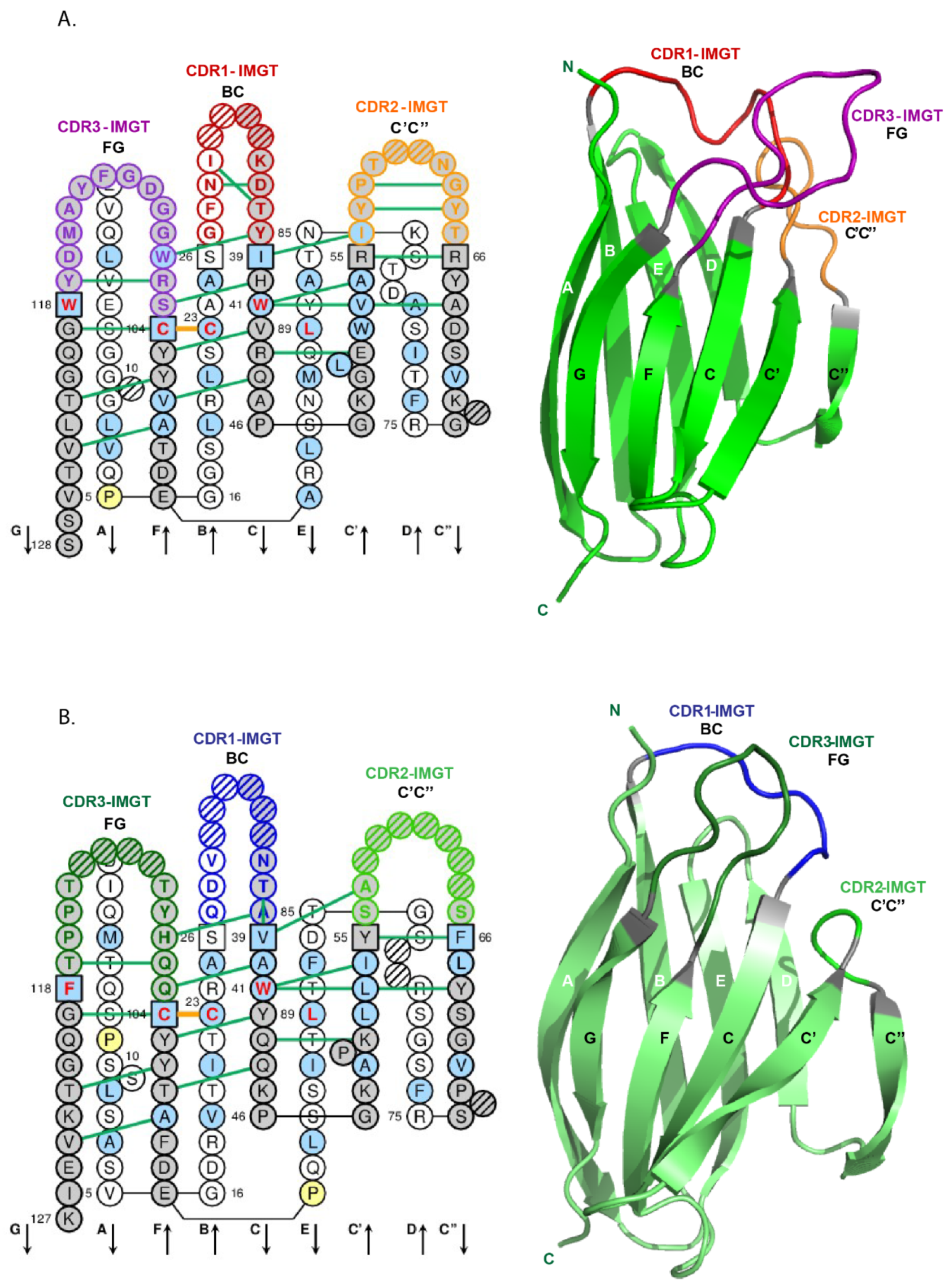 Biomedicines 08 00319 g021