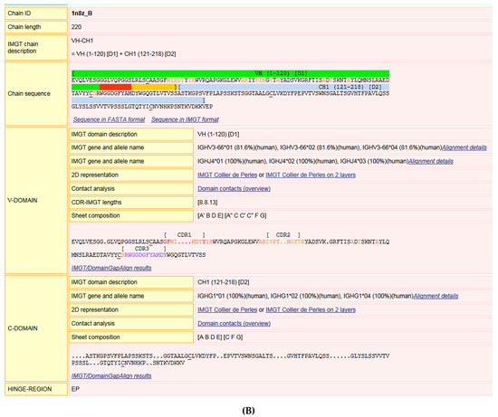 Biomedicines Free Full Text Immunoglobulins Or Antibodies Imgt Bridging Genes Structures And Functions Html Biomedicines Free Full Text Immunoglobulins Or Antibodies Imgt Bridging Genes Structures And Functions Html