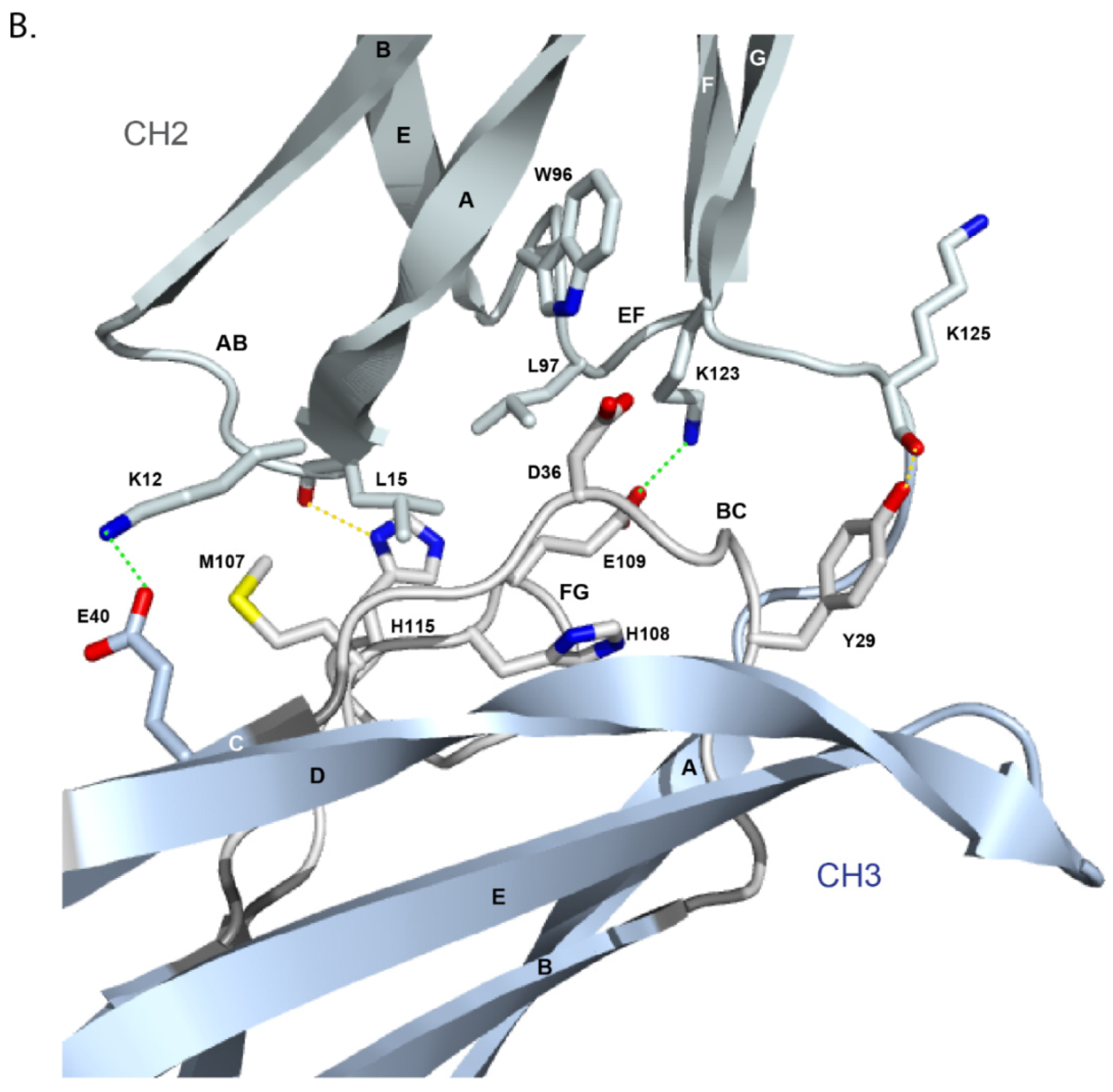 Biomedicines 08 00319 g038b