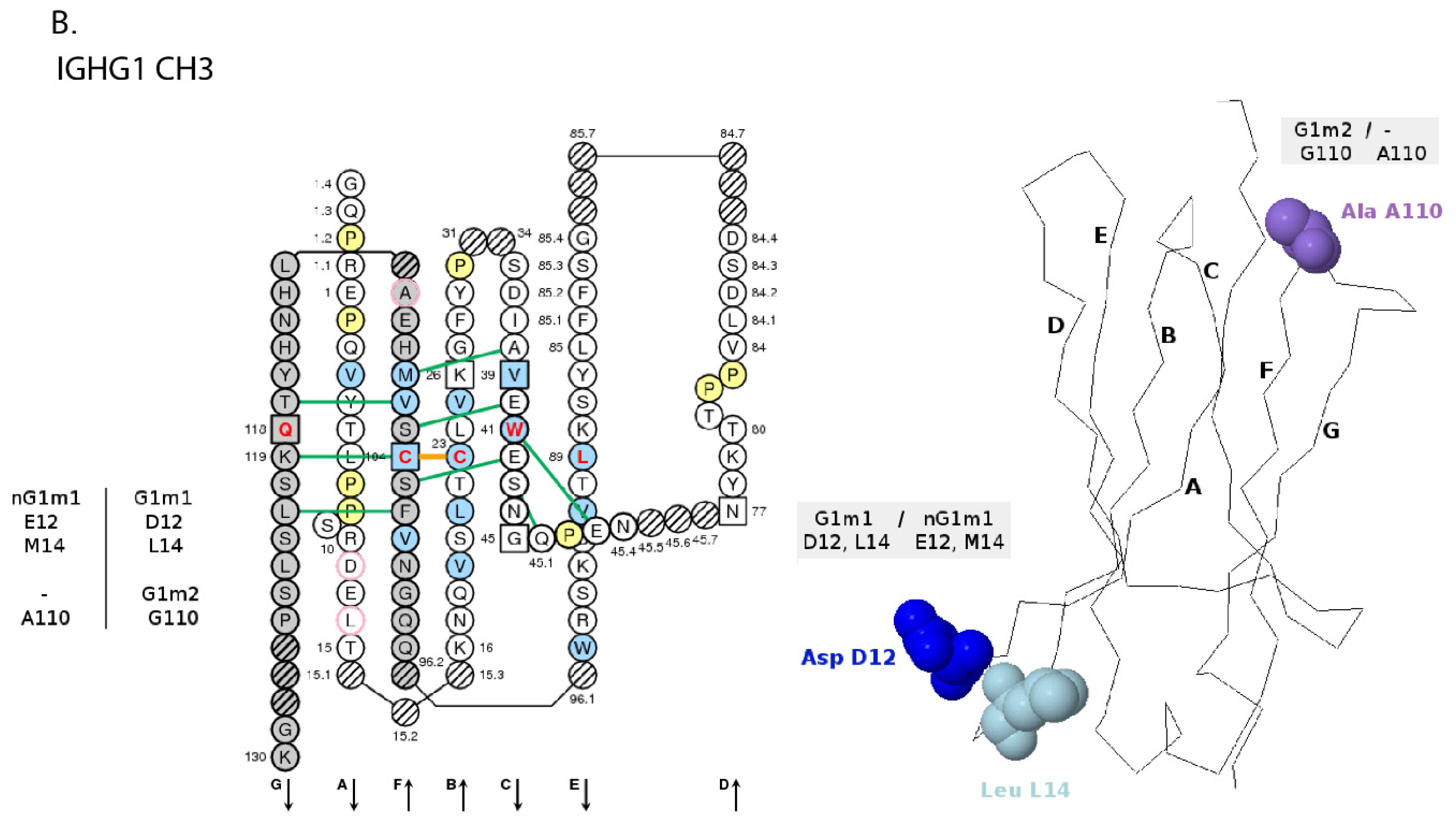 Biomedicines 08 00319 g039b