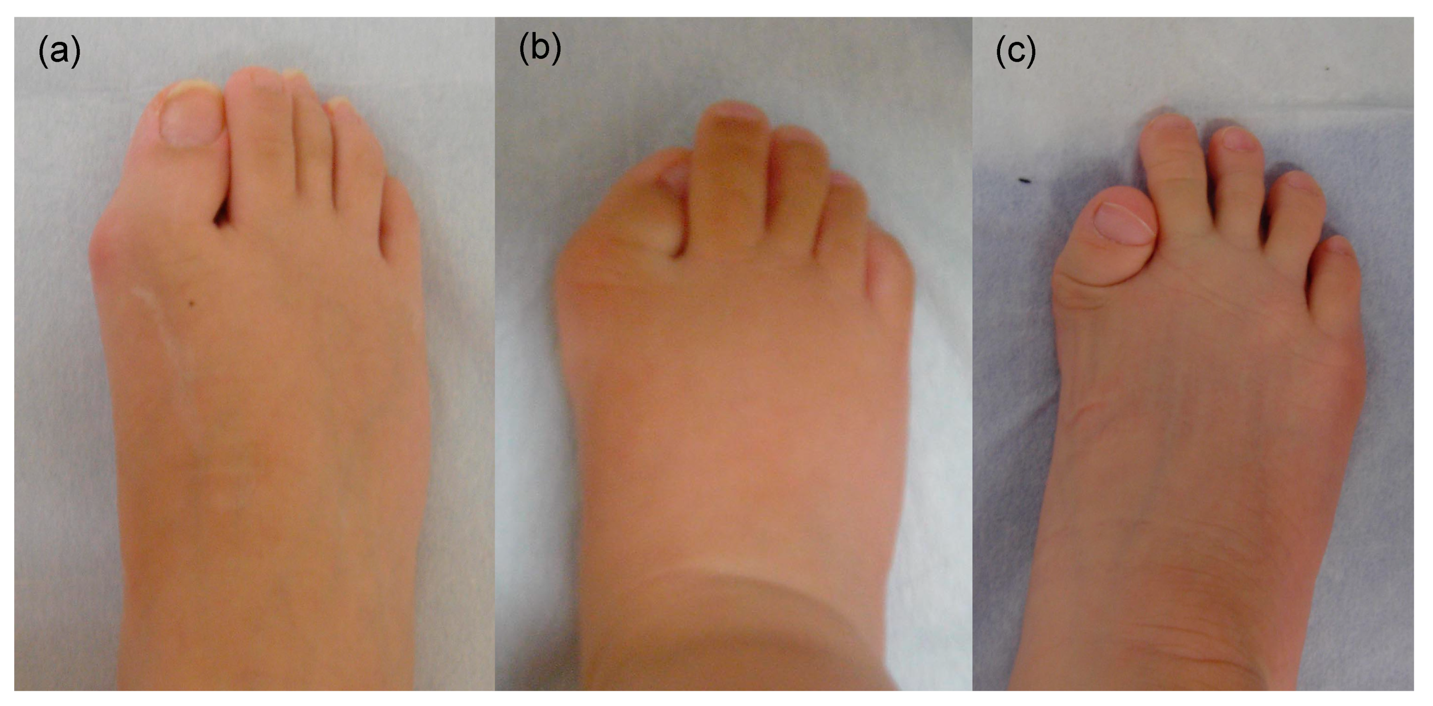 Biomedicines 08 00325 g003