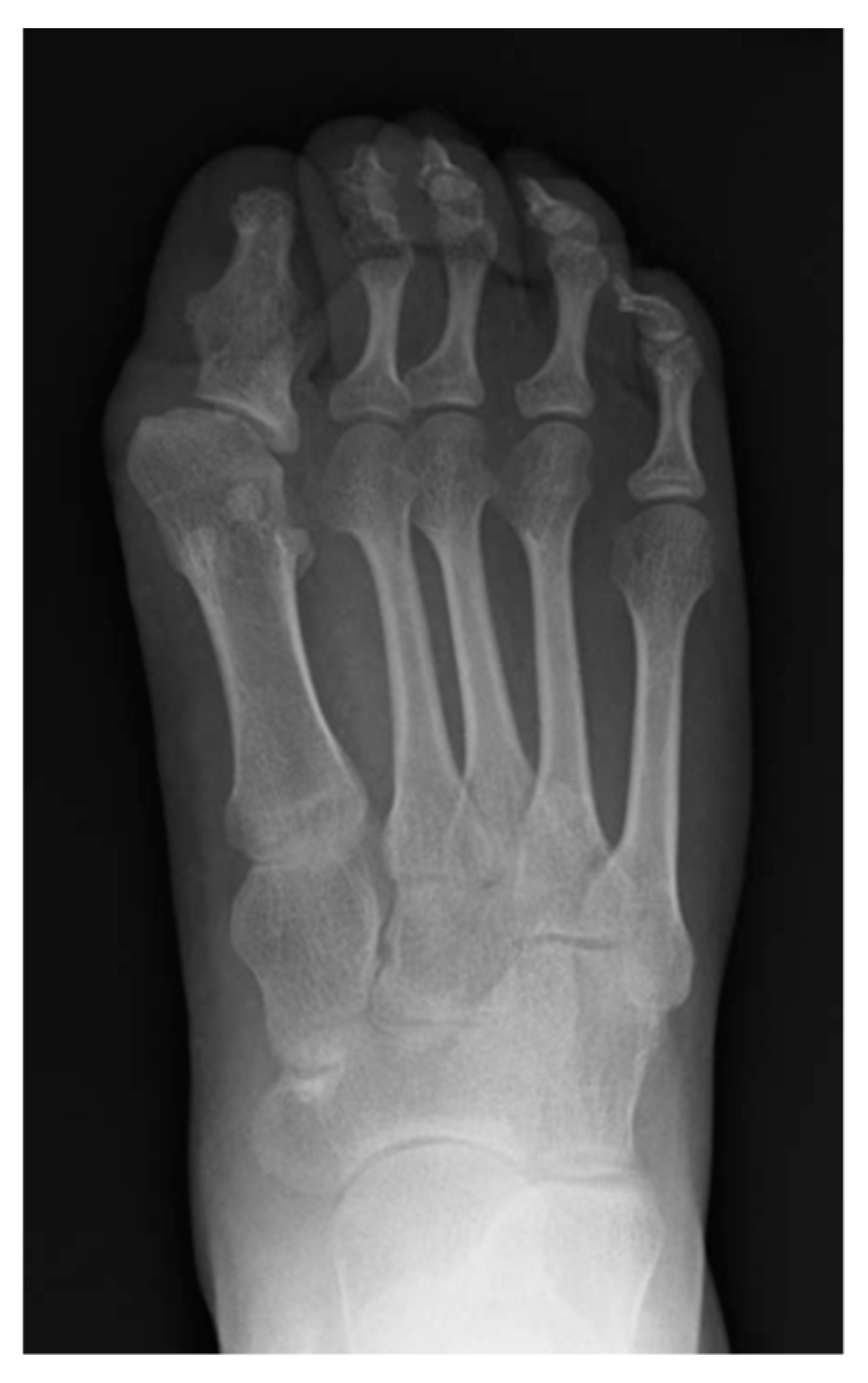 Biomedicines 08 00325 g004