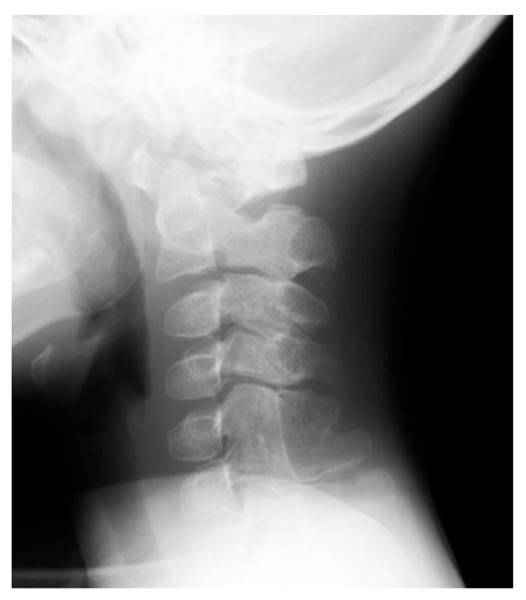 Biomedicines 08 00325 g005