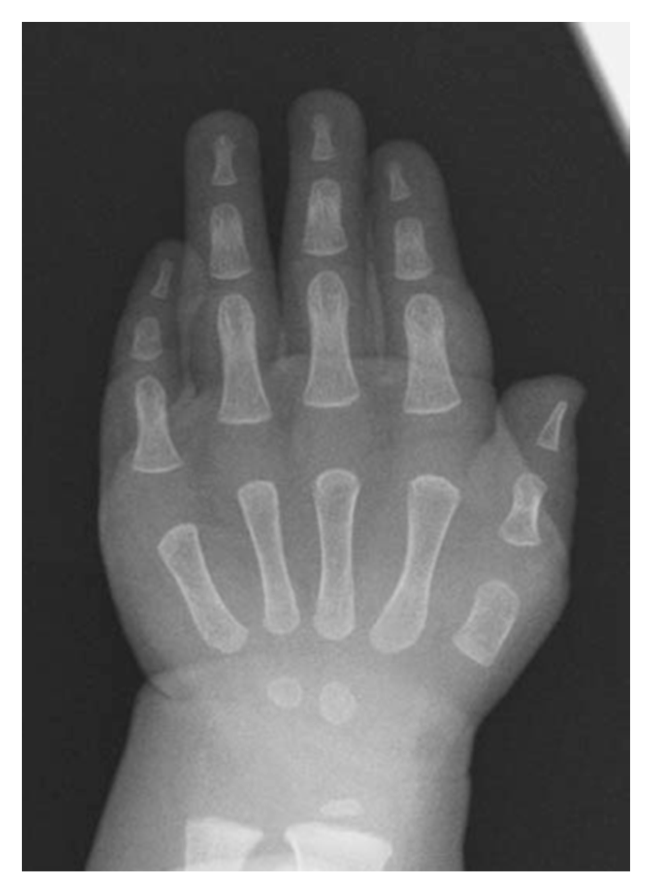 Biomedicines 08 00325 g006