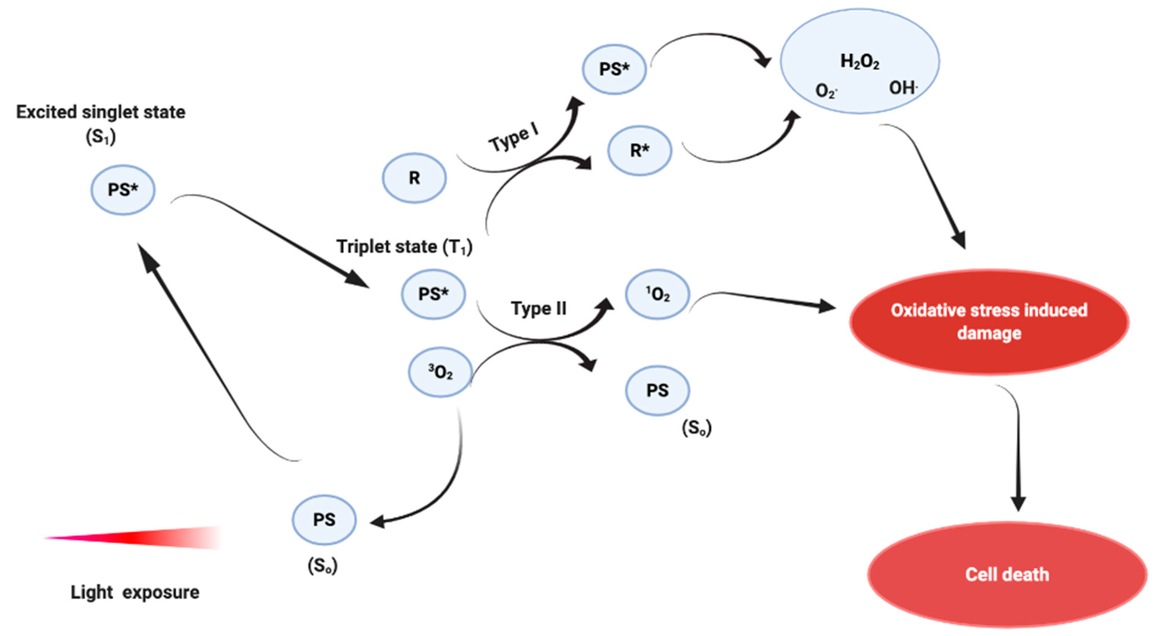 Biomedicines 08 00327 g002