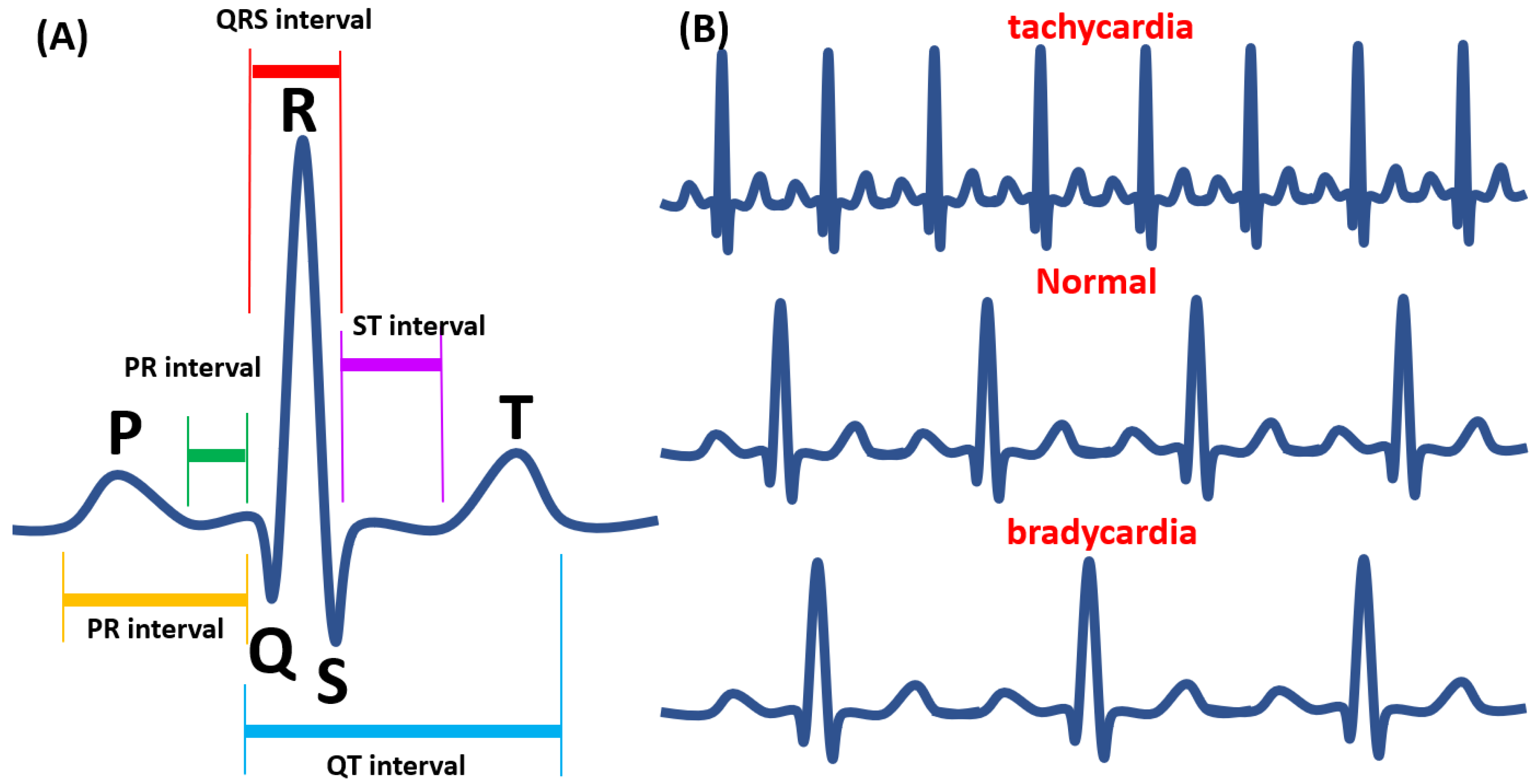 Biomedicines 08 00329 g002 Biomedicines 08 00329 g002